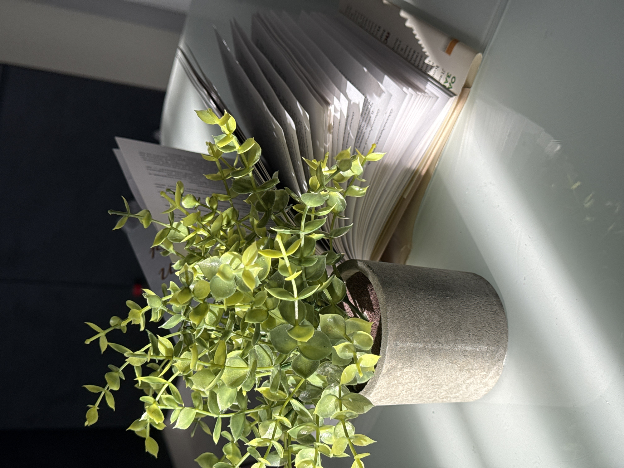 A close-up, eye-level shot captures a small potted plant with bright green leaves positioned to the left of a stack of papers. The plant is in a textured gray pot, with some of its delicate branches reaching upwards. The papers are fanned out, revealing text and creating a layered effect. The scene is illuminated by natural light, casting shadows and highlights across the surfaces. The background is dark, creating a contrast that emphasizes the objects in the foreground. The overall environment appears to be an indoor setting, possibly a desk or table, given the presence of papers and the soft, diffused lighting.