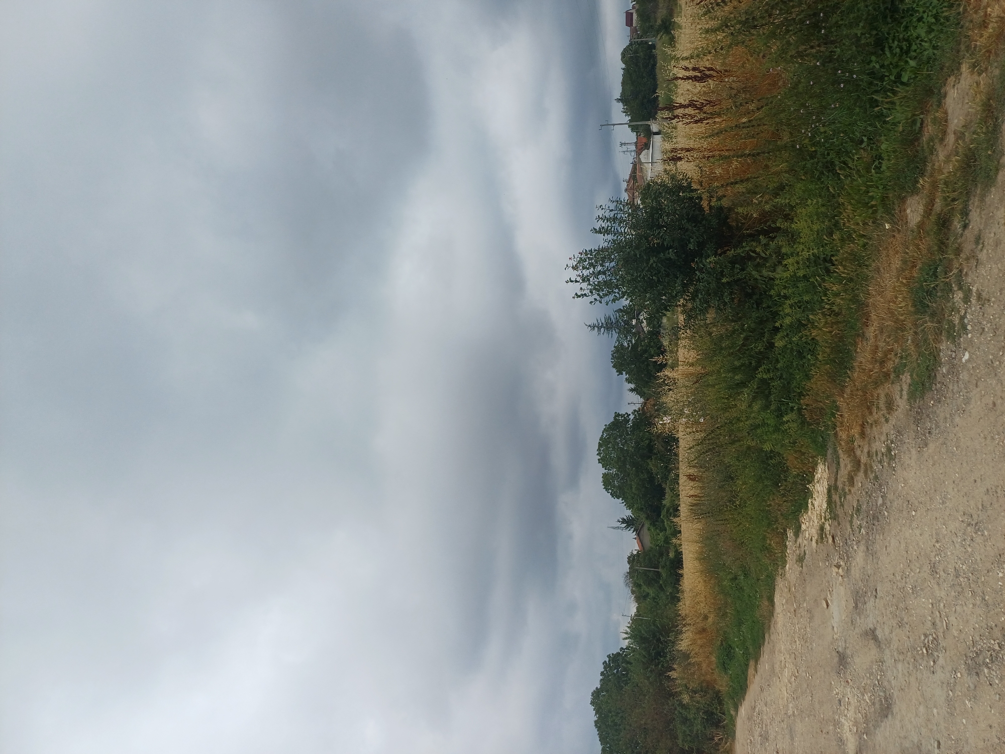 The image shows a dirt road leading through a rural landscape under a cloudy sky. To the right of the road, there is a field with dry grass and some green vegetation. In the background, there are trees, houses, and utility poles. The scene appears to be a typical countryside setting. The location is identified as the city of Varna, Bulgaria.