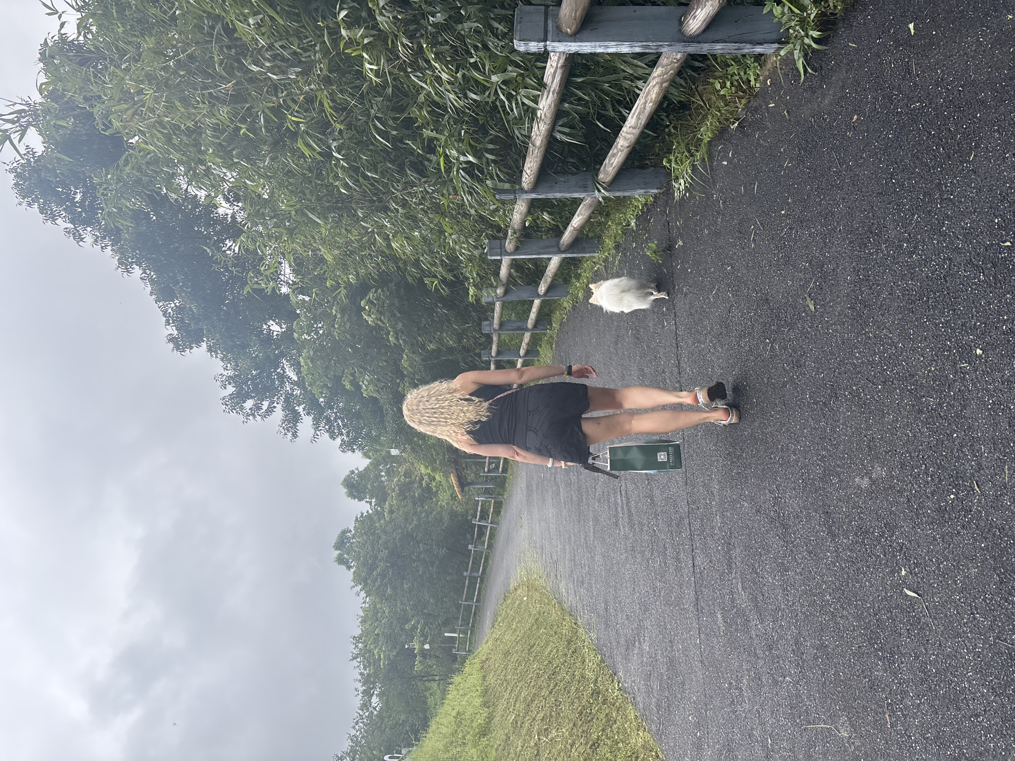 A woman with curly blonde hair, wearing a black tank top and black lace shorts, walks away from the camera down a paved path. She carries a green shopping bag in her right hand. A small, white, fluffy dog walks ahead of her on the path. A rustic wooden fence runs along the right side of the path, separating it from dense bamboo foliage. The path curves to the left, and a grassy incline is visible on the left side of the frame. The sky is overcast and grey. The location is a park or nature trail in Guangzhou City, China.