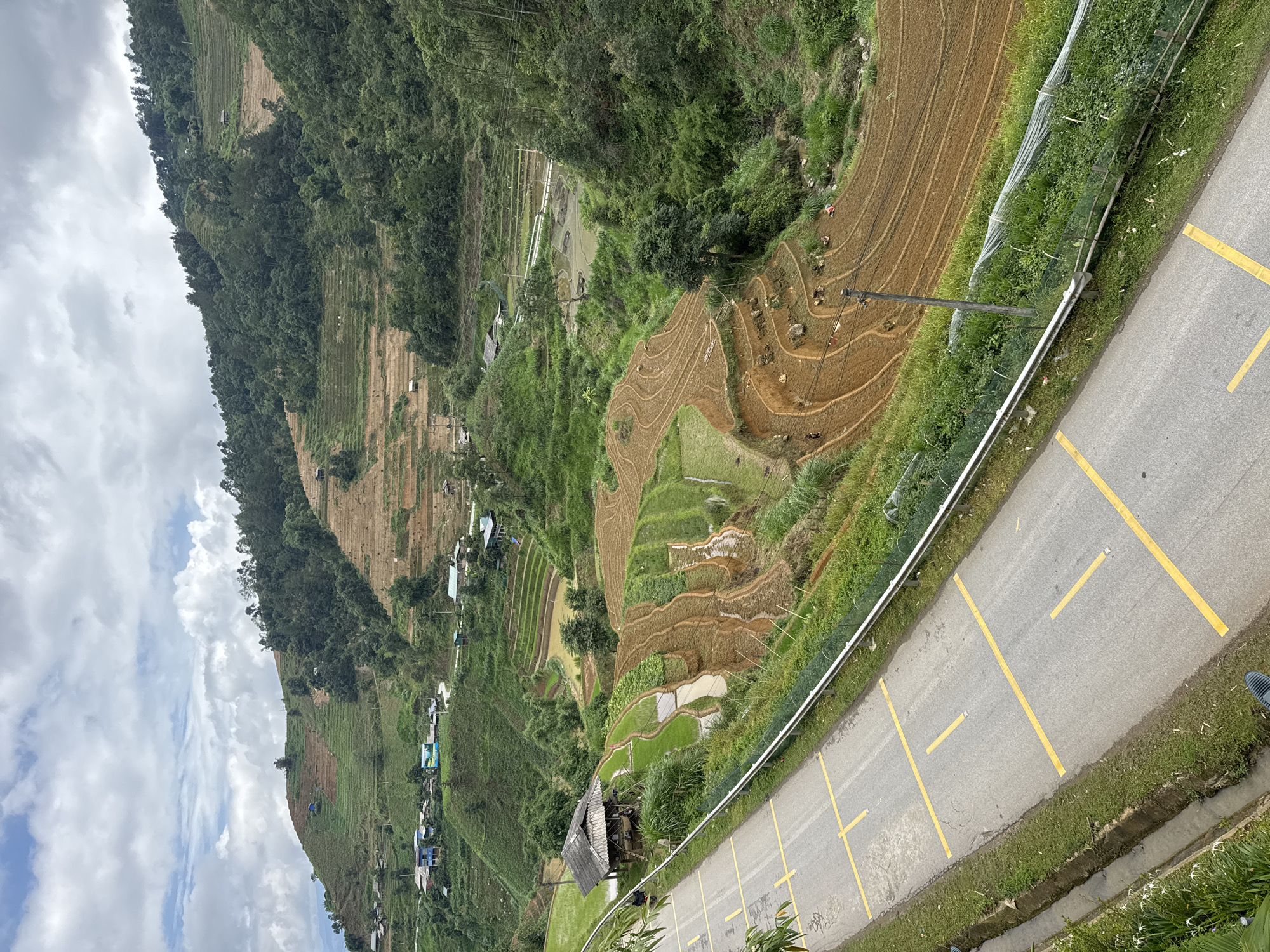 This elevated view captures a rural, mountainous landscape in Mù Cang Chải, Vietnam, dominated by extensive terraced fields under an overcast sky with significant cloud cover.
In the foreground, an asphalt road with intermittent dashed yellow lines runs diagonally from the lower left to the mid-right. A metal guardrail parallels the right edge of the road, behind which is dense green vegetation. To the left of the road, a small, rustic wooden hut with a dark corrugated roof stands adjacent to a vibrantly green, flooded rice paddy.
The midground features numerous terraced agricultural fields across a valley and up the surrounding hillsides. These fields exhibit varying stages of cultivation: some are flooded with water and planted with young green rice shoots, while others consist of freshly tilled, moist brown earth arranged in intricate, curvilinear patterns. Several figures, likely individuals engaged in agricultural work, are visible within the freshly tilled brown fields in the lower-right midground. A small stream or narrow body of water flows through the bottom of the valley. Clustered rural houses and small buildings are scattered throughout the landscape, particularly on the lower slopes and within pockets of the valley, with one cluster displaying a blue sign. A utility pole with wires is also visible in the lower-right midground.
The background consists of densely forested mountains and hills, also sculpted with terraced fields extending high up the slopes. The overall environment is agricultural and rural, characterized by the steep topography and the intricate human modification of the landscape for cultivation.