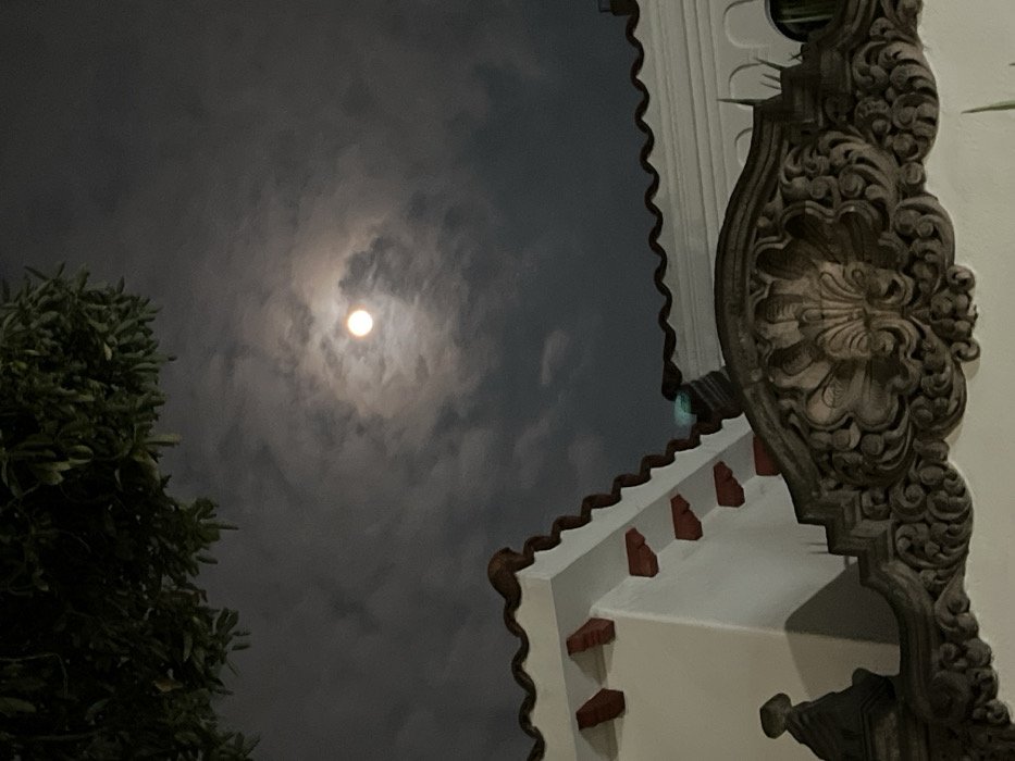 A nighttime scene features a bright moon surrounded by a cloudy, gray sky. To the left, a tree's dark foliage obscures the view. On the right, a white building with red accents is visible, adorned with intricate, dark-colored carvings. The building's architectural details stand out against the cloudy backdrop, adding a sense of structure to the otherwise ethereal scene.