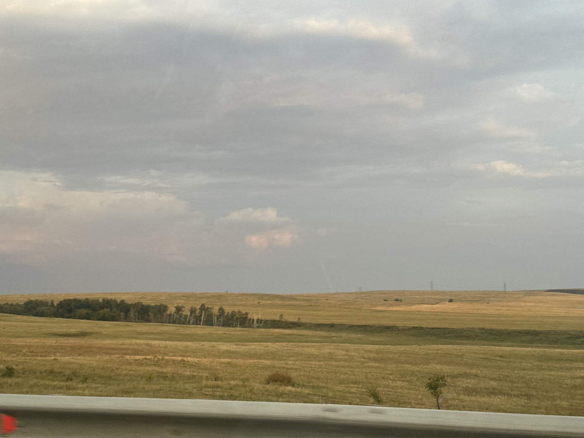 The image depicts a vast, undulating landscape with a cloudy, overcast sky. The foreground is dominated by a blurred gray barrier, possibly a guardrail or a roadside structure, with a hint of red on the left edge. Beyond this, rolling hills covered in dry, golden-brown grass stretch into the distance. A band of darker green vegetation, likely trees, runs horizontally across the middle ground, creating a visual divide in the terrain. Further back, sparse trees and power lines are visible on the horizon. The overall impression is of a rural or semi-rural environment under a muted sky. No people are visible in the image. The scene appears to be a wide, open expanse.