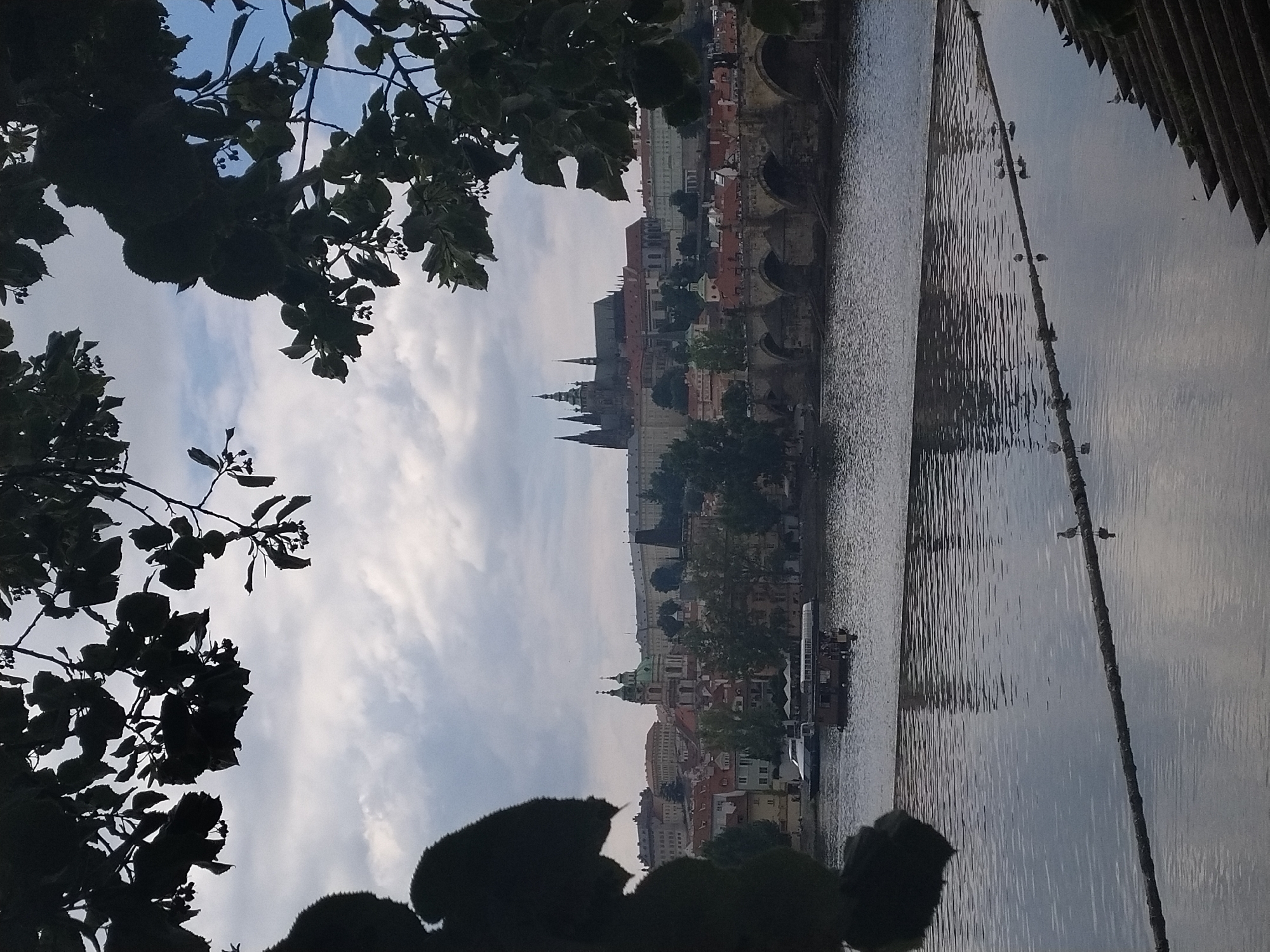The image depicts a view of the Vltava River in Prague, Czechia, with Prague Castle and St. Vitus Cathedral in the background, and the Charles Bridge spanning the river. Overhanging tree branches with dark leaves frame the top and sides of the image, obscuring parts of the sky and the cityscape. The sky is overcast with clouds.
In the foreground, the Vltava River occupies the lower half of the image, with its surface reflecting the cloudy sky and the distant structures. A thick rope lies horizontally across the river, partially submerged, with several birds perched on it. These birds appear to be seagulls.
On the river, two boats are visible. The boat closer to the foreground is a smaller, dark-colored vessel with a roof, carrying people. Further back, a larger, white boat is also present.
In the middle ground, the Charles Bridge, a historic stone bridge with multiple arches, stretches across the river. The bridge is lined with statues, though they are not clearly discernible from this distance.
Beyond the bridge, the Prague cityscape unfolds. Prominent buildings include St. Vitus Cathedral, with its distinctive spires, and Prague Castle, a vast complex of palaces and churches. Other buildings with red-tiled roofs and various architectural styles are also visible. Green trees dot the landscape between the buildings.
The overall impression is one of a scenic, historical city viewed from across a river, with elements of nature framing the urban landscape. The lighting suggests it is daytime, possibly late afternoon or early morning, given the overcast conditions and muted light.