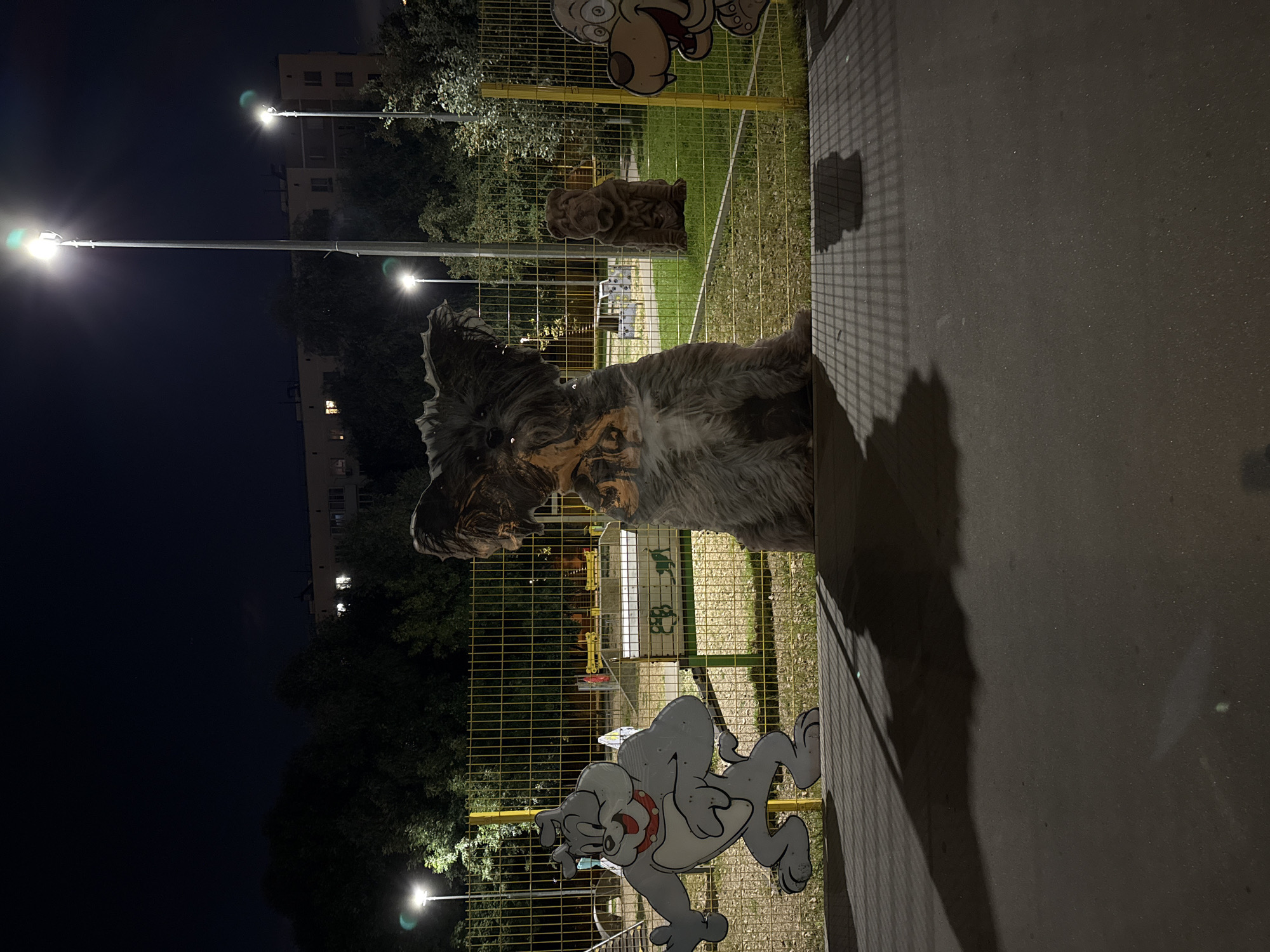 The photograph captures an outdoor scene at night, possibly a dog park or a public space with dog-themed decorations. A tall lamppost illuminates the area, casting long shadows. In the foreground, a large, flat cutout of a gray cartoon dog with a red collar stands to the left, facing right. Next to it, on the right, is a cutout of a brown, cartoonish dog with wide eyes and an open mouth. Between these two figures, and slightly behind them, is a large, fluffy dog sculpture that appears to be made of faux fur. Further in the background, behind a yellow fence, a smaller brown sculpture of a seated dog is visible, along with playground equipment and trees. The background also shows a building with illuminated windows. The ground in the foreground is dark asphalt, reflecting the light and shadows from the fence and the figures.
