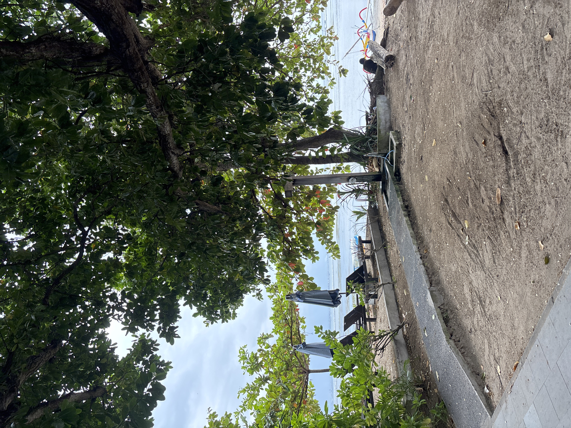 A tranquil beach scene unfolds under the shade of a large tree, likely in Denpasar, Indonesia, as indicated by the presence of a traditional outrigger canoe in the background. The foreground is dominated by sandy ground and a paved walkway leading towards the beach. Several dark-colored lounge chairs and closed, grey umbrellas are arranged on the sand, suggesting a resort or public beach area. Lush green foliage frames the scene on the left and above, with the branches of a mature tree dappling sunlight through its leaves. In the distance, the calm ocean stretches out towards a hazy horizon under a cloudy sky. A person is seated on the sand near the outrigger canoe, which displays vibrant red, yellow, and blue accents. A small wooden structure, possibly an outdoor shower or rinse station, stands near the center of the frame. The overall impression is one of peaceful relaxation and natural beauty.