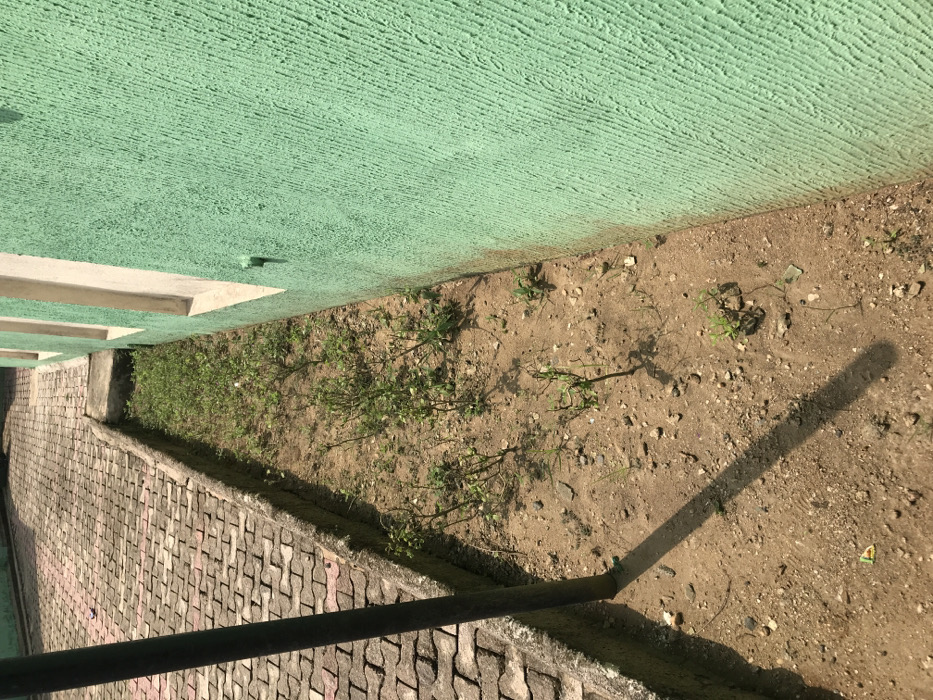 This image depicts an outdoor urban environment, consistent with a general setting within Calabar, Nigeria. No specific identifying landmarks are present to indicate an exact street or address within the city.
The scene features a narrow, unkempt garden strip positioned between a textured building wall on the right and a paved pathway on the left. The building wall is painted a vibrant, light green with a heavily textured, stucco-like finish. Two light-colored, possibly off-white or cream, window sills or decorative architectural elements are visible along this wall, casting small shadows. The garden strip consists of dry, light-brown soil with scattered small rocks and sparse green vegetation, appearing to be a mix of small, shrubby plants (possibly young chili peppers) and weeds. This strip is bordered on the left by a low, weathered concrete curb. To the left of the curb lies a pathway constructed from interlocking concrete pavers, displaying a mix of reddish-brown and gray tones in a repeating pattern. In the immediate foreground on the left, a slender, dark vertical pole stands, casting a long, distinct shadow diagonally across the garden strip and partially onto the paved area, indicating bright, direct sunlight. No people, objects other than the described architectural and natural elements, or discernible actions or interactions are present in the frame.