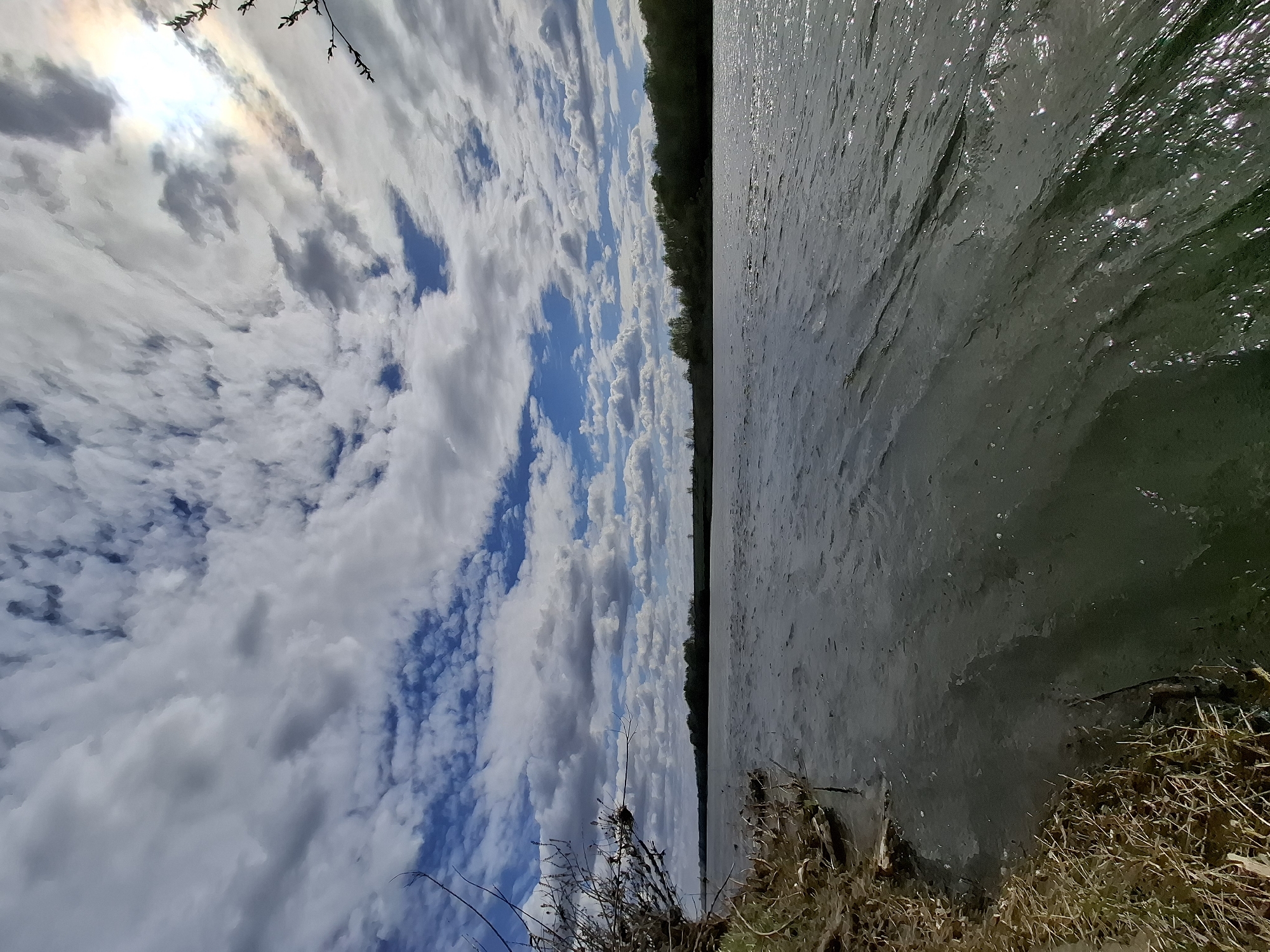 The image depicts a landscape, likely in a rural or natural setting near Дерезовка, Russia. The left half of the image shows a sky filled with white and grey clouds, with patches of blue sky visible in between. The sun is obscured by clouds, but a bright area indicates its location. Some branches are visible in the top left corner of the image. The right half depicts a body of water, possibly a lake or river, with ripples on the surface. A dark strip of trees is seen in the middle of the frame, separating the sky and water. A grassy bank is in the bottom right corner of the image. No people or animals are visible.