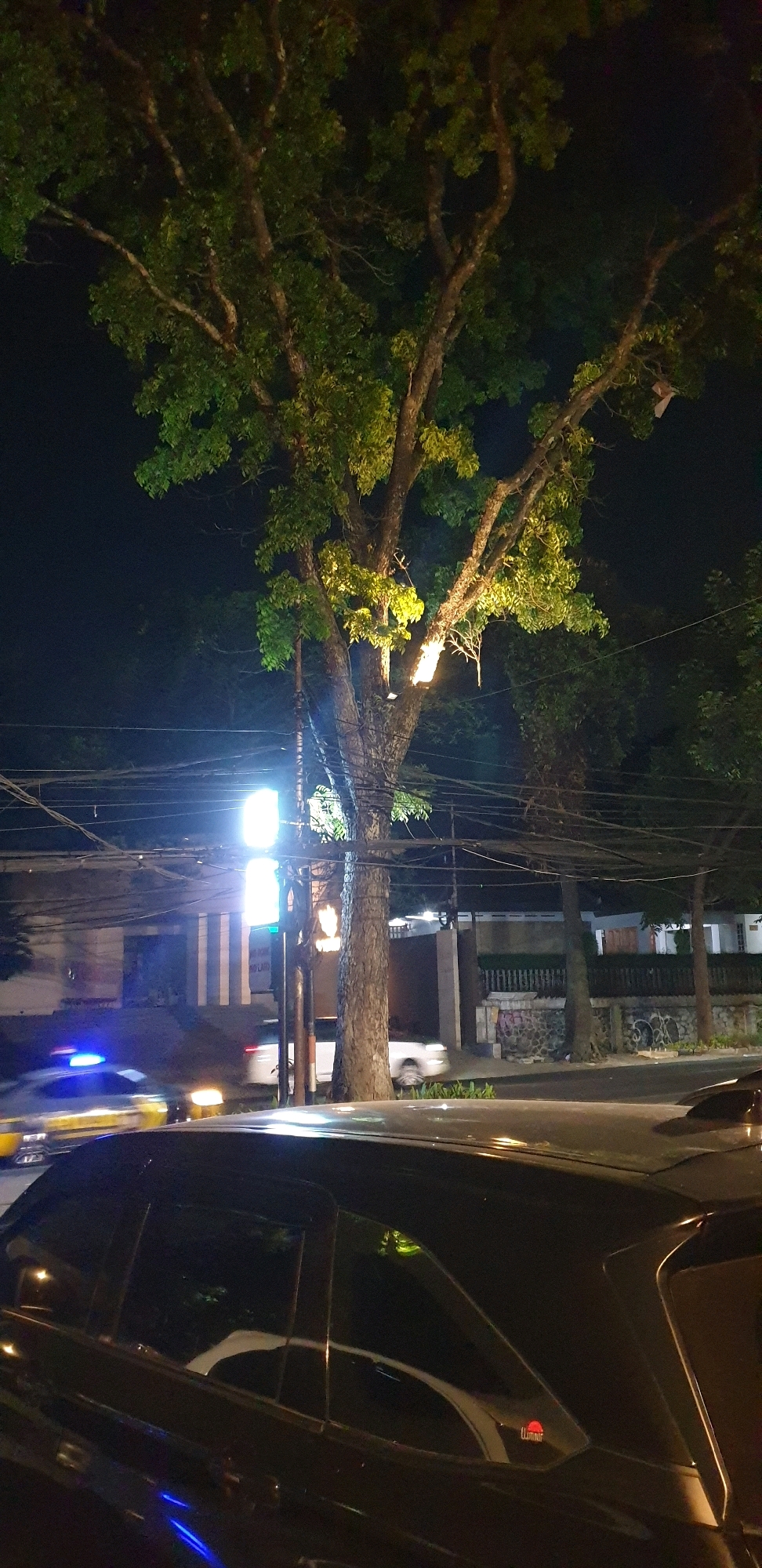 The image captures a street scene at night, likely in Bandung City, Indonesia, dominated by a large tree with illuminated leaves and branches. The tree is centrally located and appears to be the primary focus. A prominent, bright light source is visible on the tree trunk, casting a warm glow on the surrounding foliage. In the foreground, the dark roof and side of a black car are visible, reflecting the ambient light. In the background, a street with moving vehicles is depicted. A yellow car with flashing blue lights, possibly a police car or emergency vehicle, is seen to the left, blurred due to motion. Several utility poles with numerous electrical wires crisscross the frame. Behind the wires, buildings with lights are faintly visible. The overall atmosphere is nocturnal and urban.