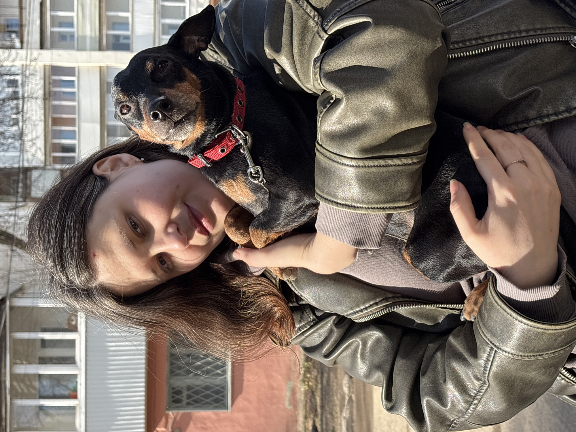 A young woman with long, dark brown hair holds a small, black and tan dog in a close embrace outdoors. She is wearing a dark, possibly olive-green, leather jacket over a purple-grey long-sleeved top. Her expression is gentle, and she looks towards the camera. A simple ring is visible on her right ring finger, which is resting on her jacket sleeve.
The dog, resembling a miniature Pinscher or Dachshund, has short fur and perked ears. It wears a bright red collar with a silver buckle and leash clip, on which the text "Komfo..." is partially visible. The dog's face is turned towards the viewer, exhibiting a curious and calm demeanor, and it appears to have a small piercing on its nose.
The scene is set outdoors on a bright, sunny day, indicated by strong shadows and direct sunlight. In the background, multi-story residential buildings with numerous windows rise, suggesting an urban or suburban environment in Chaikovsky, Russia. The overall image captures an affectionate moment between the woman and her canine companion. The photo is oriented diagonally.