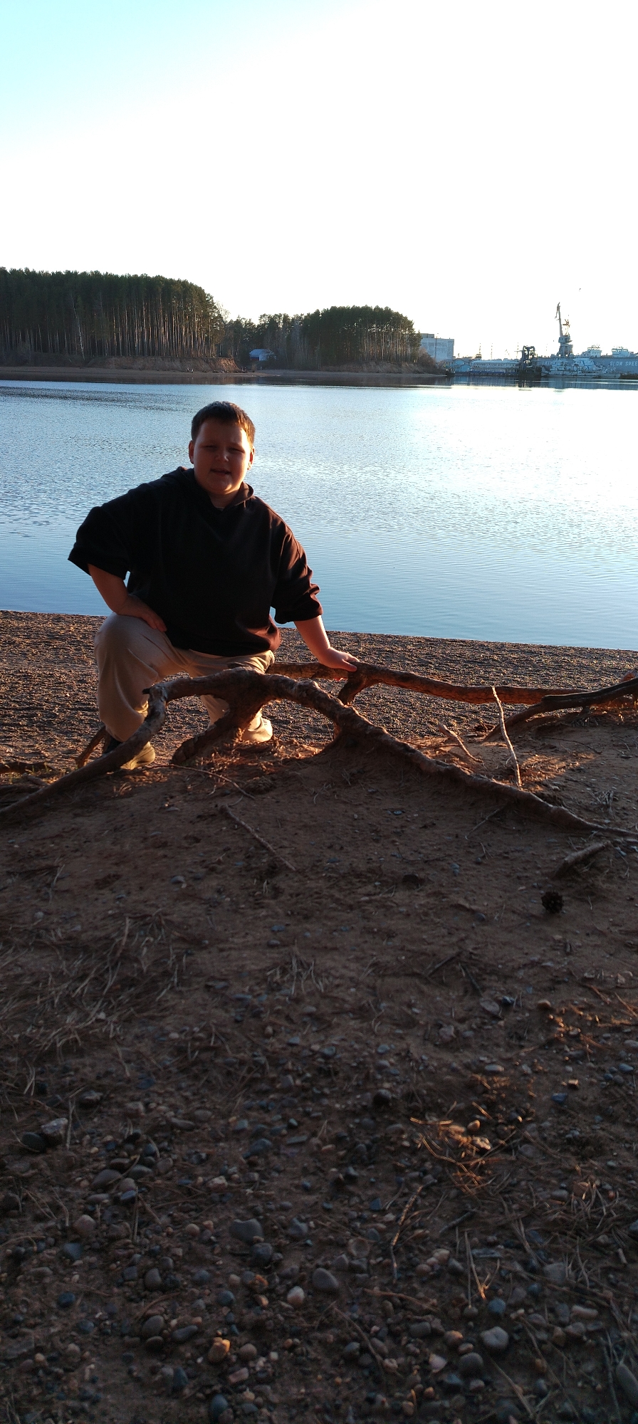 A medium-range shot shows a person crouching behind a piece of driftwood on a stony shoreline, with a body of water, trees, and a distant industrial landscape in the background.
The individual, seen from the chest up, wears a dark hooded sweatshirt and light-colored pants. Their left hand is on their hip, and their right hand is resting on the driftwood.
The driftwood lies parallel to the shoreline, its exposed roots intertwined in the sandy and pebbly ground. A scattering of small pebbles and dry grass blades cover the foreground.
Behind the person and driftwood, the body of water is calm, reflecting the sky. Across the water, a line of densely packed trees stretches along the opposite shore. To the right of the trees is a distant industrial cityscape with cranes and buildings silhouetted against the sky.