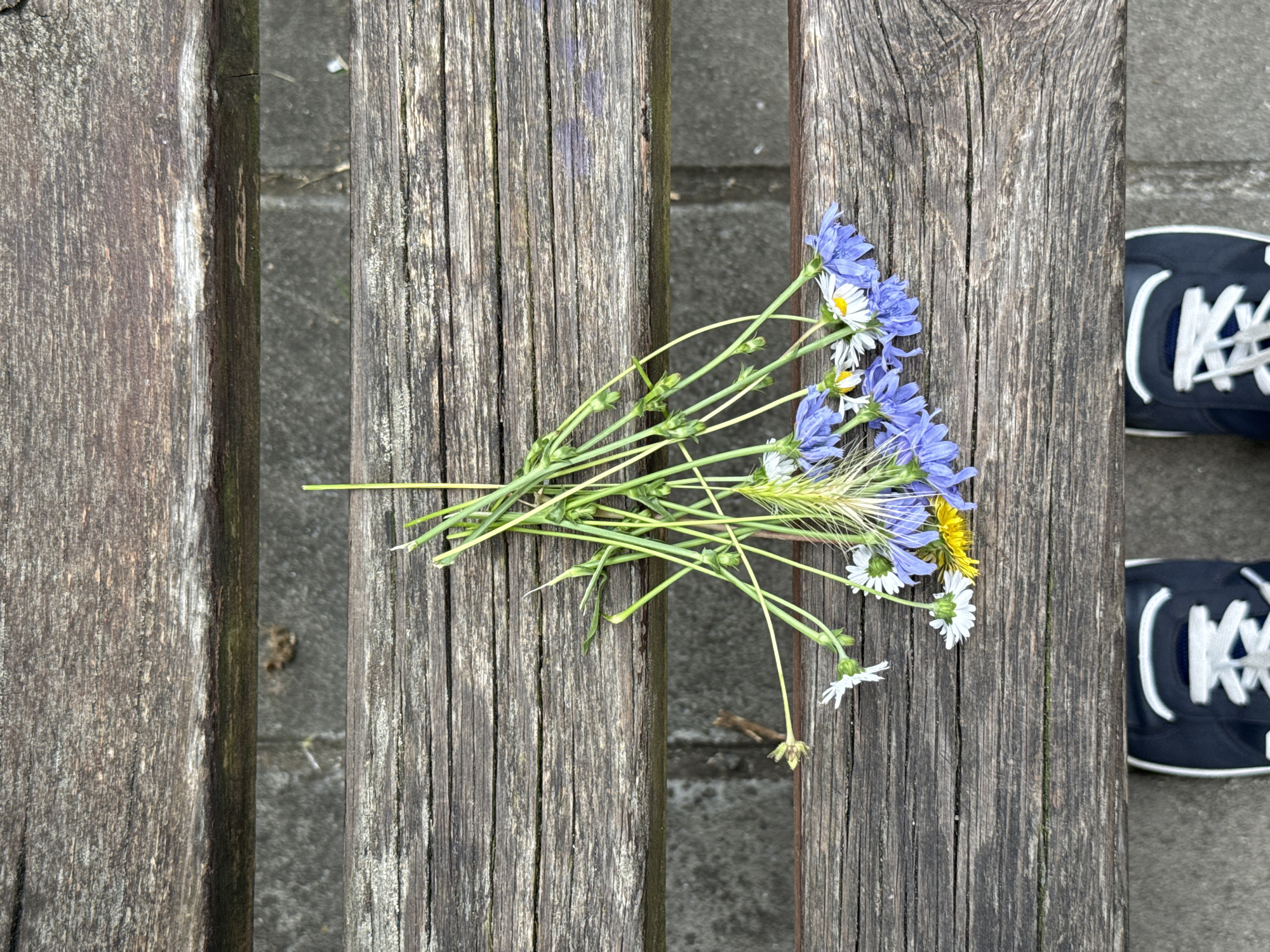 A bouquet of wildflowers, consisting of small white daisies, blue cornflowers, and yellow dandelions, is arranged on a weathered wooden bench in Burgas, Bulgaria. The bench's surface is aged and shows distinct wood grain. Below the bench, a person's feet are visible, clad in dark blue sneakers with white laces, standing on a cobblestone surface. The background is a blurred view of the cobblestone path.