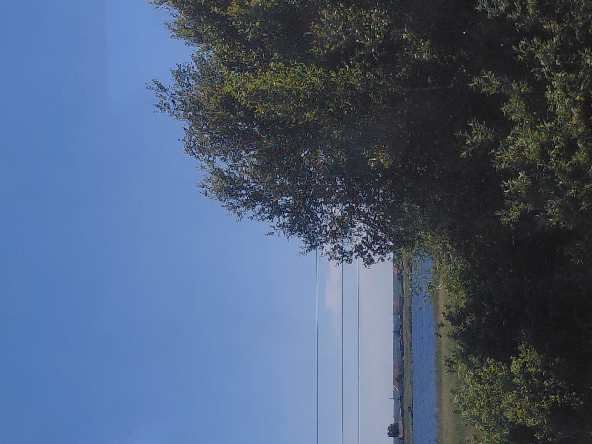 The media file shows a scene with a clear blue sky dominating the left side of the frame. On the right side, there is dense foliage from a tree, casting shadows and partially obscuring the view beyond. A body of water, likely a river or lake, is visible in the middle ground, with a distant shoreline featuring a line of buildings and vegetation. The image appears to be taken from a slightly elevated perspective, looking across the water. Four thin, dark lines, likely power lines, run horizontally across the scene in the middle distance, above the water and distant shore. The lighting suggests it is daytime, with bright sunlight. The overall mood is peaceful and natural, with a hint of human presence due to the distant buildings. The location is identified as Иткуль, Russia. There is no visible text in the media file.