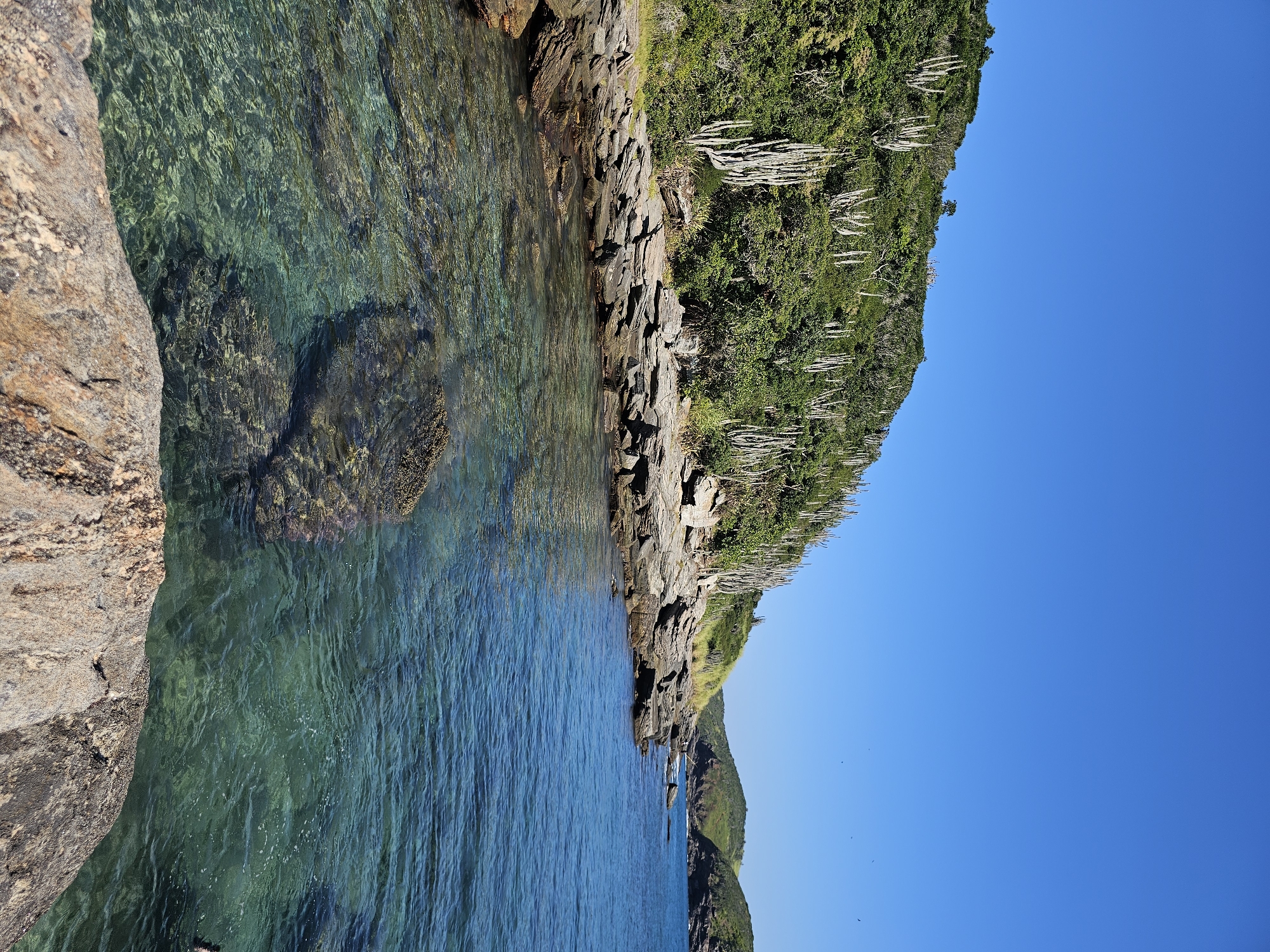 The image captures a scene in Armação dos Búzios, Brazil, showing a rocky coastline meeting clear turquoise water. A large rock formation is visible on the left edge of the frame. Along the middle, the coastline extends with dark rocks and vegetation, including what appears to be tall, thin cacti. To the right, a clear blue sky fills the background. The water is transparent, revealing rocks and textures beneath the surface. The image is oriented vertically, with the sky positioned on the right side.