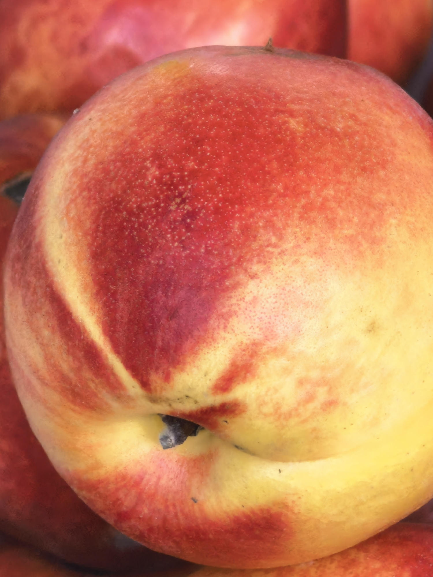 A close-up, vertical shot of a single nectarine is featured. The nectarine has a smooth skin with vibrant hues of red and yellow. The red coloring is concentrated in stripes and patches, while the yellow forms the base color of the fruit. The nectarine is slightly off-center, with the top portion taking up most of the frame. The skin appears textured with small, dark speckles visible in the red areas. A small, dark stem nub is present at the top of the fruit, and a subtle indent or crease is visible on the right side. The background is blurred and consists of more nectarines, indicated by their similar red and yellow coloring, creating a bokeh effect. The lighting appears to be natural and soft, highlighting the fruit's glossy texture.