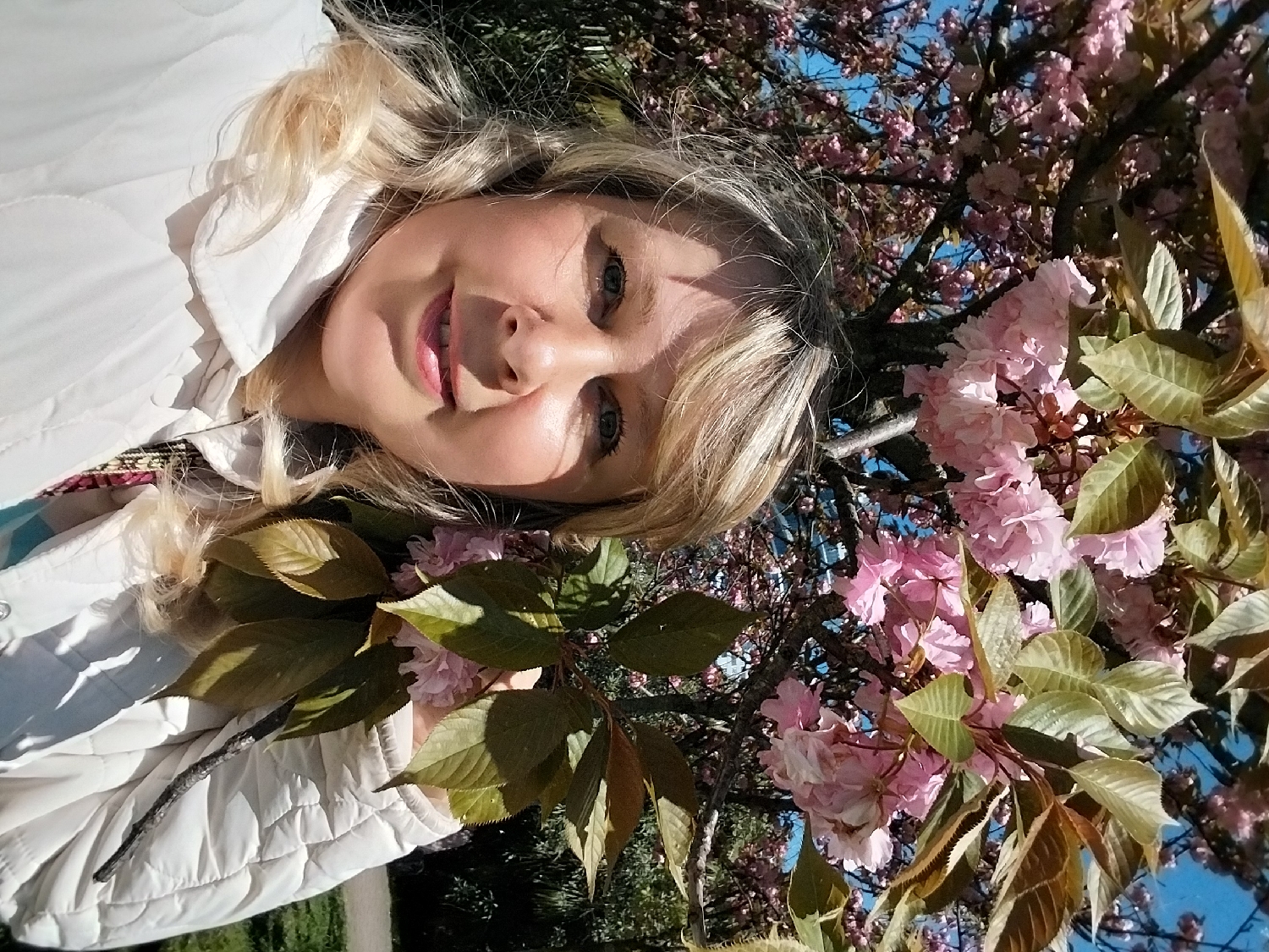 A vibrant outdoor portrait captures a smiling woman amidst blooming cherry trees under a clear blue sky. The main subject is a woman with blonde hair, light-colored eyes, and a pleasant smile, looking directly at the viewer. She is wearing a light-colored, possibly quilted, jacket. Sunlight casts some shadows on her face, highlighting her features.
The scene is set outdoors, likely in a park or garden in Sochi, Russia, during springtime. Numerous clusters of delicate pink cherry blossoms are prominently displayed on tree branches, filling the background and right side of the frame. Several branches with green and reddish-brown leaves are visible in the foreground, partially framing the woman and the blossoms. The sky is bright and clear blue, indicating sunny weather.
The woman appears to be posing for a photograph, possibly a selfie, enjoying the beautiful spring scenery. Her smiling expression suggests happiness and contentment. The image is oriented 90 degrees clockwise, giving a unique perspective as if the woman is lying down or the camera was held at an angle. The overall atmosphere is cheerful and bright, capturing a moment of enjoyment in nature. There is no visible text in the image.