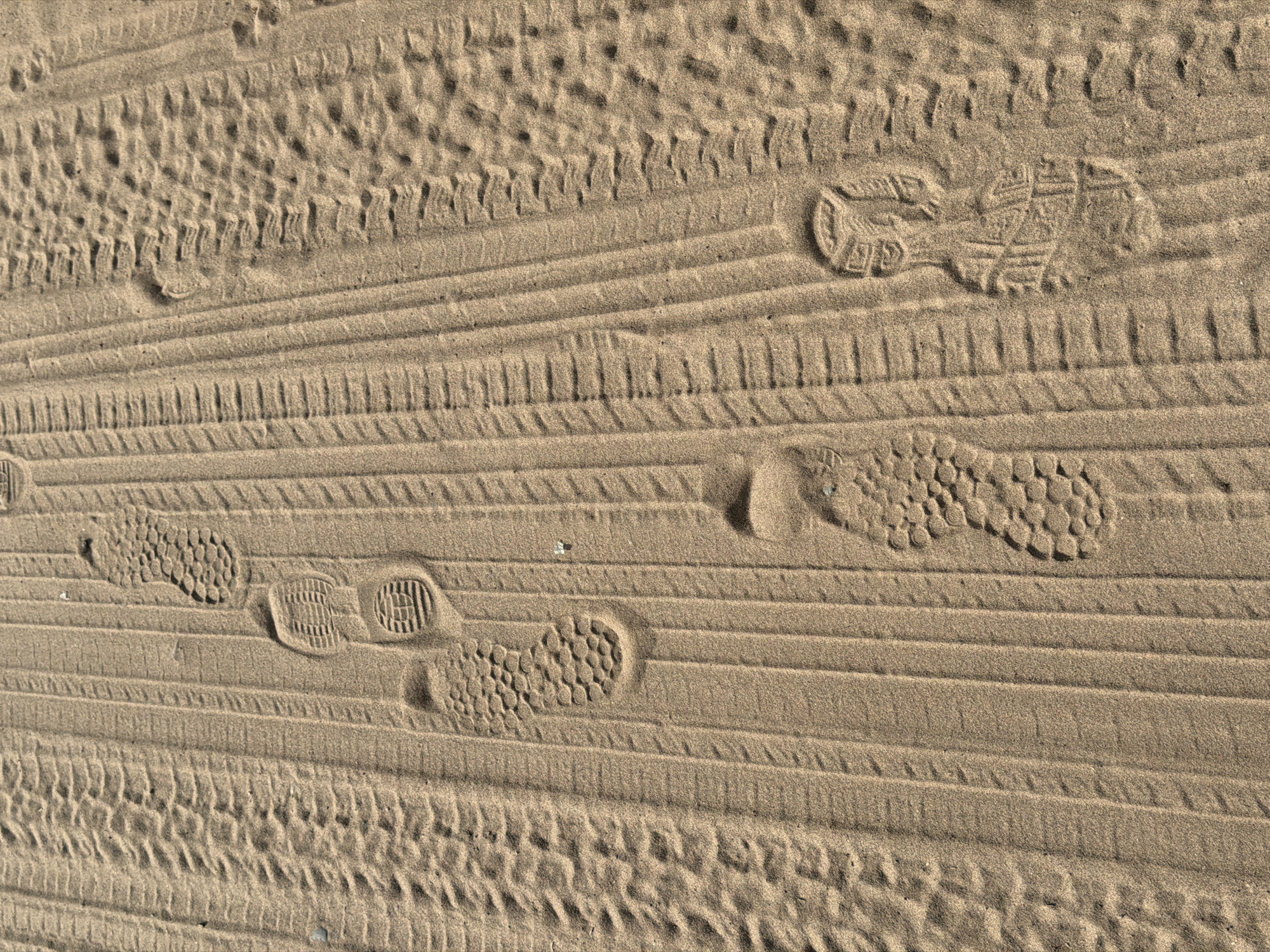 The image shows tire tracks and footprints in sand. The tire tracks are of two distinct types: one with closely spaced parallel lines and another with a more complex, interwoven pattern. The footprints appear to be from shoes with patterned soles. The setting appears to be a sandy area that may be located in Chaikovsky, Russia, but this location is not determinable from the image alone. The lighting suggests a sunny day, and the overall texture of the scene is sandy and granular.