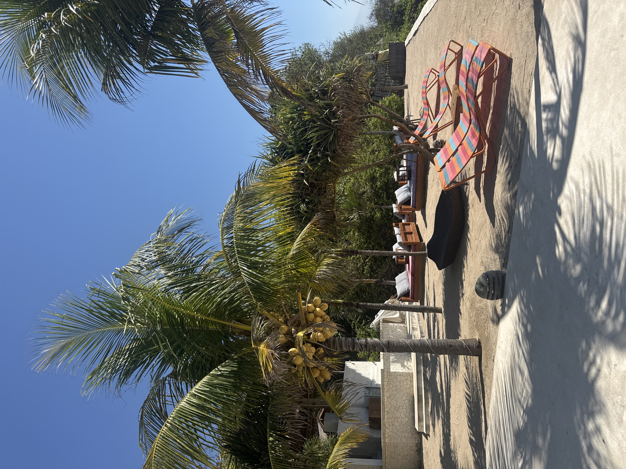 This image captures a sunny outdoor resort scene in Nusa Penida, Indonesia. The foreground features a light grey concrete path with prominent, elongated shadows cast by palm fronds, leading to a sandy area. In the mid-ground, a tall palm tree with a large cluster of yellow coconuts stands centrally, surrounded by other palm and tropical trees with green and some desiccated fronds. Behind this tree to the left is a white building with a stone-textured lower facade and concrete steps, partially visible amidst the foliage. To the right of the central palm, multiple wooden daybeds with grey cushions are arranged on the sand, positioned beneath the shade of trees. Two brightly colored, horizontally striped lounge chairs (displaying hues of pink, orange, blue, and yellow) are prominently placed on the sand in the right-foreground, with a dark-colored lounge seat positioned to their left. The background consists of dense green vegetation, with a distant mountain peak faintly visible against a clear, bright blue sky on the far right. No individuals are present in the scene.