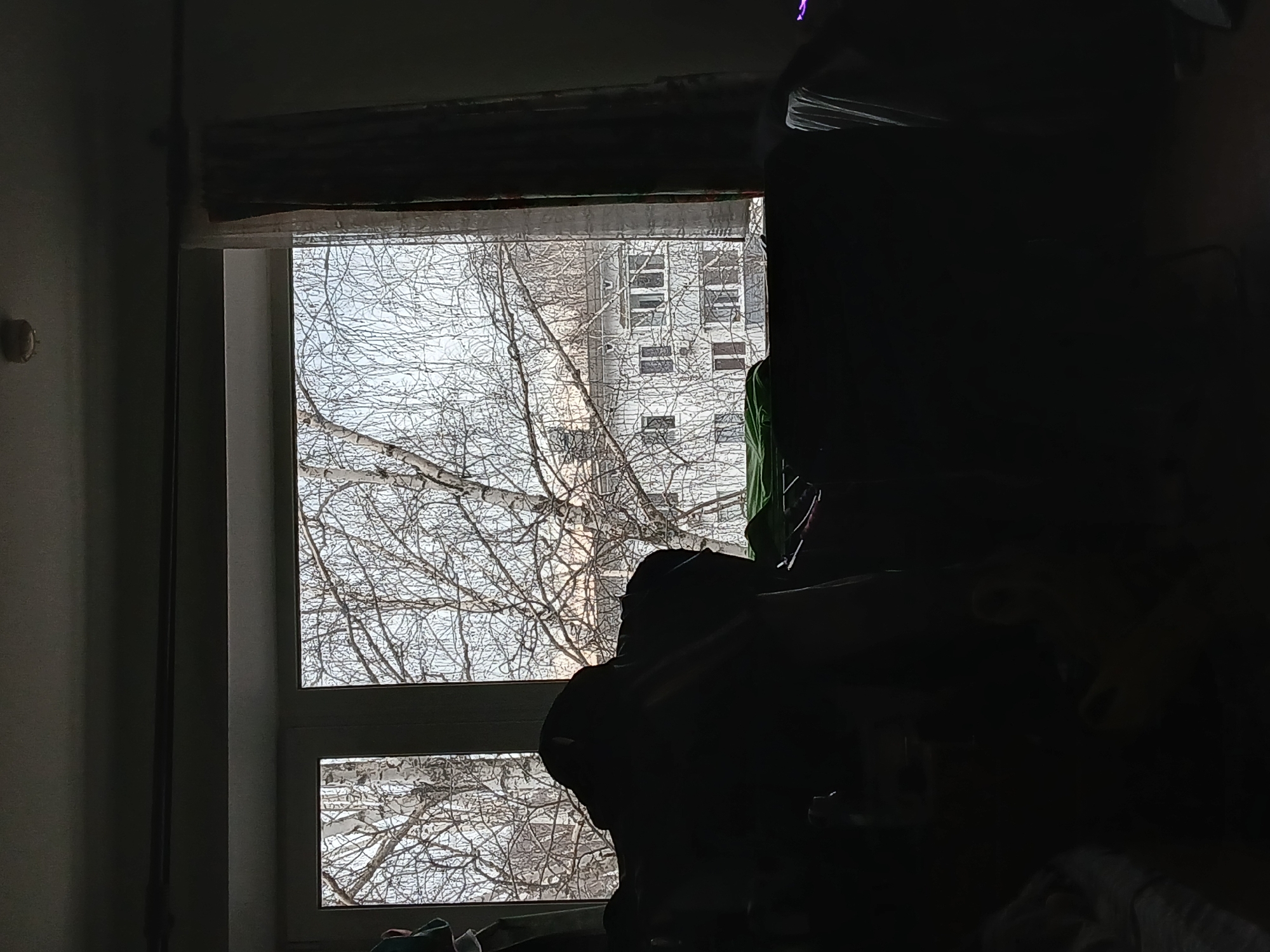 The image shows a dimly lit room, possibly an interior space in a building. A window is visible with a view of a cityscape in Chaikovsky, Russia. Bare tree branches obscure a neighboring building with multiple windows. In the foreground, a dark, unidentifiable mass obscures the scene, possibly an object or person. The scene is poorly lit, making it difficult to discern details.
