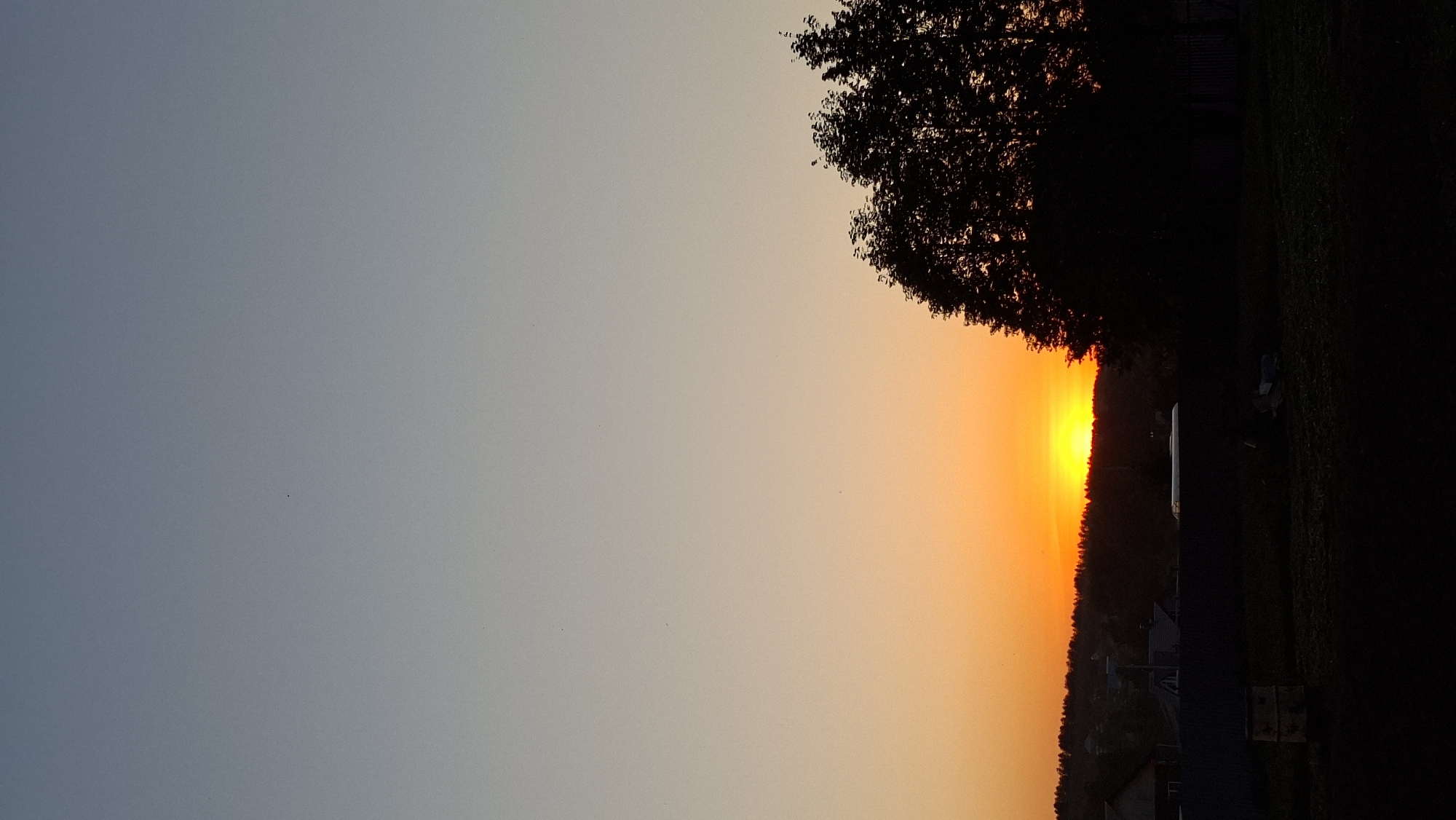 The image shows a sunset in Большой Букор, Russia. The sky transitions from a light blue on the left to a bright orange near the horizon. A silhouette of a tree is visible on the right, and a darker mass of land suggests trees along the horizon where the sun is setting. Some buildings and possible trailers are visible on the right. The right side of the image is very dark, indicating it might be shadowed by trees or darkness.