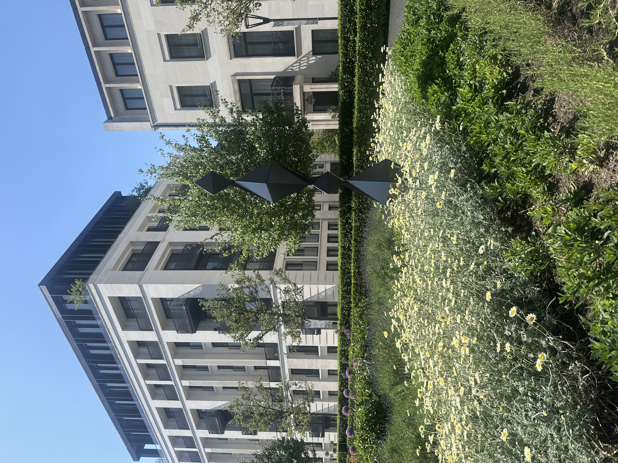 The image shows a modern urban landscape with a focus on architecture and greenery. Two large, multi-story buildings with light-colored facades dominate the background. A distinctive black geometric sculpture stands amidst trees and a flowerbed filled with small yellow and silver-leaved flowers. A clipped hedge separates the flower bed from a lawn. The setting appears to be in a city, but the specific location (city and country) are not identifiable from the image. The scene is bathed in daylight under a clear blue sky. There are no people visible.