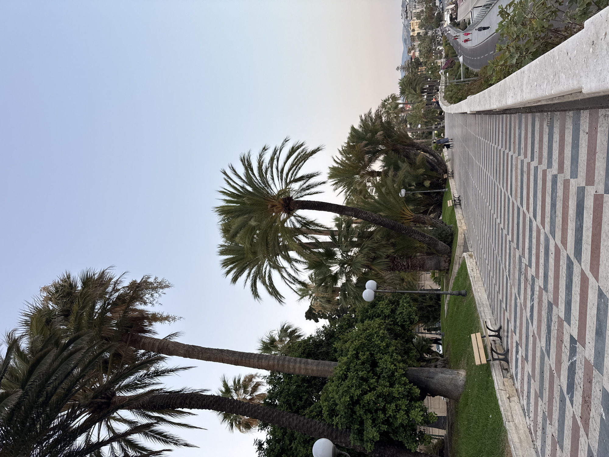 This image depicts the Passeggiata degli Innamorati in Sanremo, Italy, a scenic promenade lined with palm trees. The promenade features a distinctive patterned walkway with geometric blocks of red, grey, and white. Benches are visible along the promenade, offering places to rest.
To the left of the walkway, lush green grass and dense foliage surround mature trees, including several palm trees. Two white globe-shaped lamps are mounted on poles, illuminating the area. In the background, a road curves alongside the promenade, with a few cars and people visible. Further in the distance, buildings and hills form the city's skyline.
Several people are present on the promenade, some walking their dogs. The sky is clear and a pale blue, indicating either early morning or late afternoon. The overall atmosphere is tranquil and picturesque.