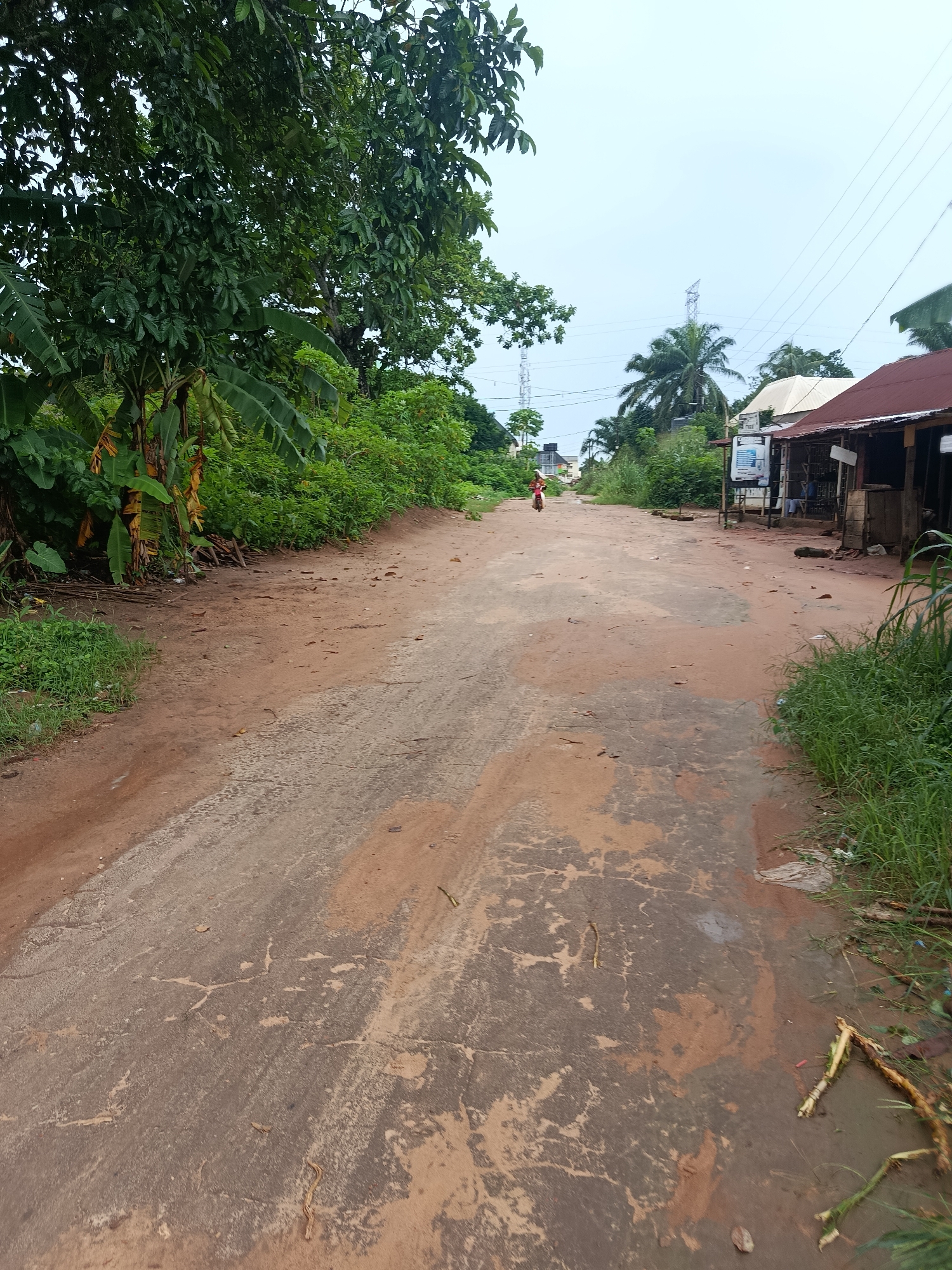 The image depicts a dirt road in Ukpor, Nigeria. The road is unpaved and appears to be a mixture of red earth and patches of a harder, gray material. Vegetation, including banana trees and other dense foliage, lines the left side of the road. On the right side, several structures resembling small shops or stalls with corrugated metal roofs are visible. A person is riding a red motorcycle in the distance on the road. Power lines and a transmission tower are visible in the background. The sky is overcast, suggesting cloudy weather. The overall scene is characteristic of a rural or semi-urban environment in Nigeria.