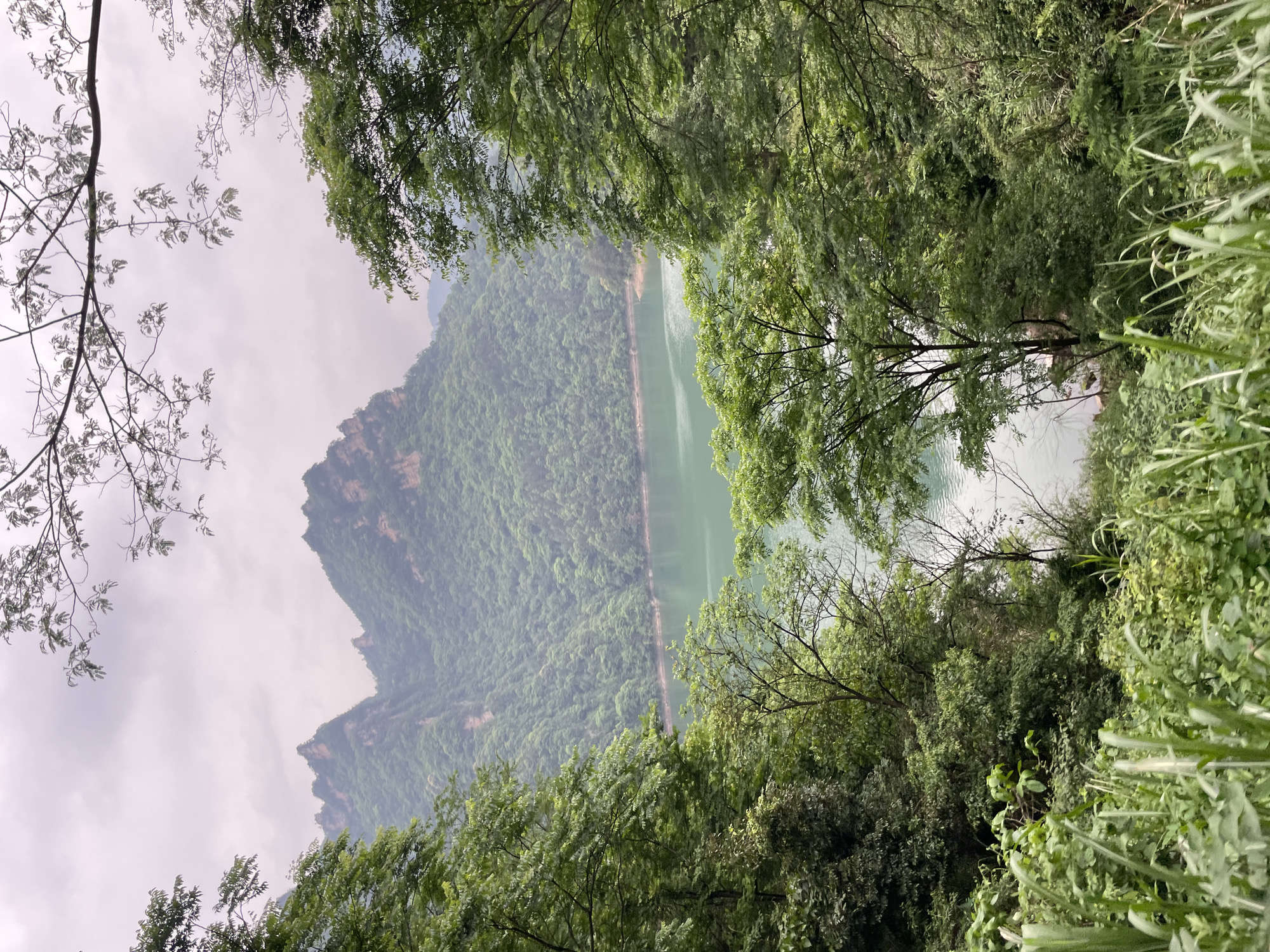 The image shows a scenic view of a lake surrounded by lush greenery and mountains in Wulingyuan, China. The lake stretches through the center of the frame, bordered by trees and foliage on either side. A mountain range covered in dense vegetation rises in the background, partially obscured by mist. The sky is overcast, suggesting cloudy conditions. The perspective is framed by trees, creating a natural border around the central view of the lake and mountains.