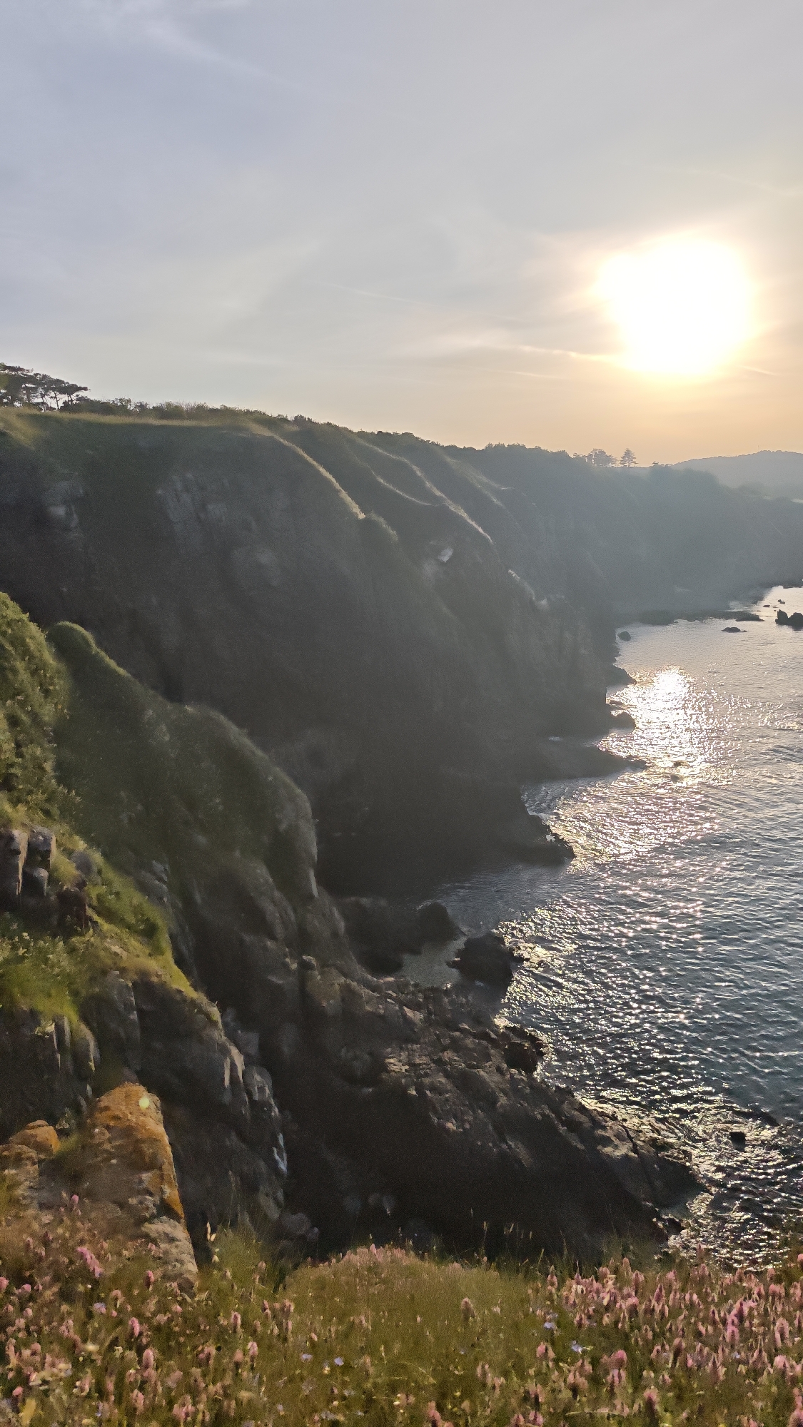 This image depicts a coastal scene at sunset, likely taken near Sozopol, Bulgaria, judging by the landscape and lighting. The focus is on a rugged coastline with steep, grassy cliffs descending to a rocky shoreline. The sea, reflecting the setting sun, displays a shimmering, sparkling surface. The sky is bright with the sun, casting a warm glow over the scene. The foreground features a field of small, pink flowers, suggesting a natural, undisturbed environment. There are no people visible in the image.