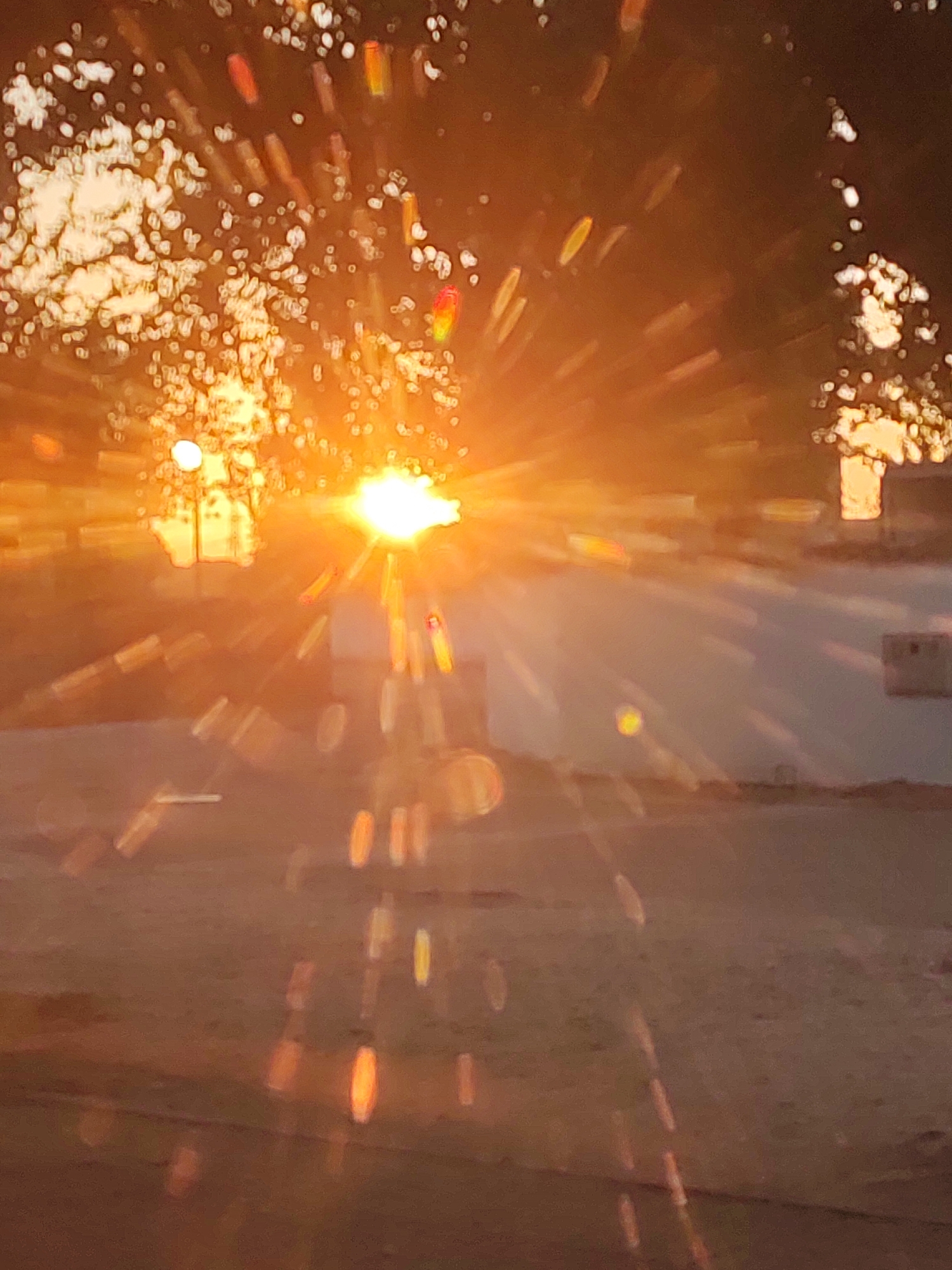 The image depicts a sun flare effect with the sun centrally located and radiating light outwards. The foreground shows a blurred ground surface, possibly a road or dirt path, with scattered bright spots resembling light reflections. In the background, there are blurred shapes of trees with bright foliage and indistinct structures that could be buildings or fences. The overall scene is dominated by warm, orange and yellow hues from the setting or rising sun. The location in Traspinedo, Spain is not visually discernible from the provided image itself, as the image lacks specific landmarks or identifying features of that particular place.