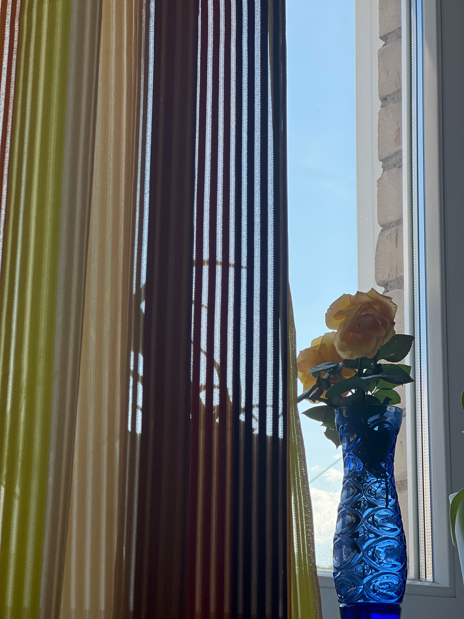 This image depicts a close-up view of a bouquet of yellow roses in a blue glass vase, positioned on a windowsill. The roses are partially obscured by vertical striped curtains in shades of brown, beige, and green. Beyond the window, a bright blue sky is visible, with the texture of brickwork on the exterior of the building. The scene appears to be indoors, with the lighting suggesting it is daytime. No people are present in the image, and no specific location in a city is identified.