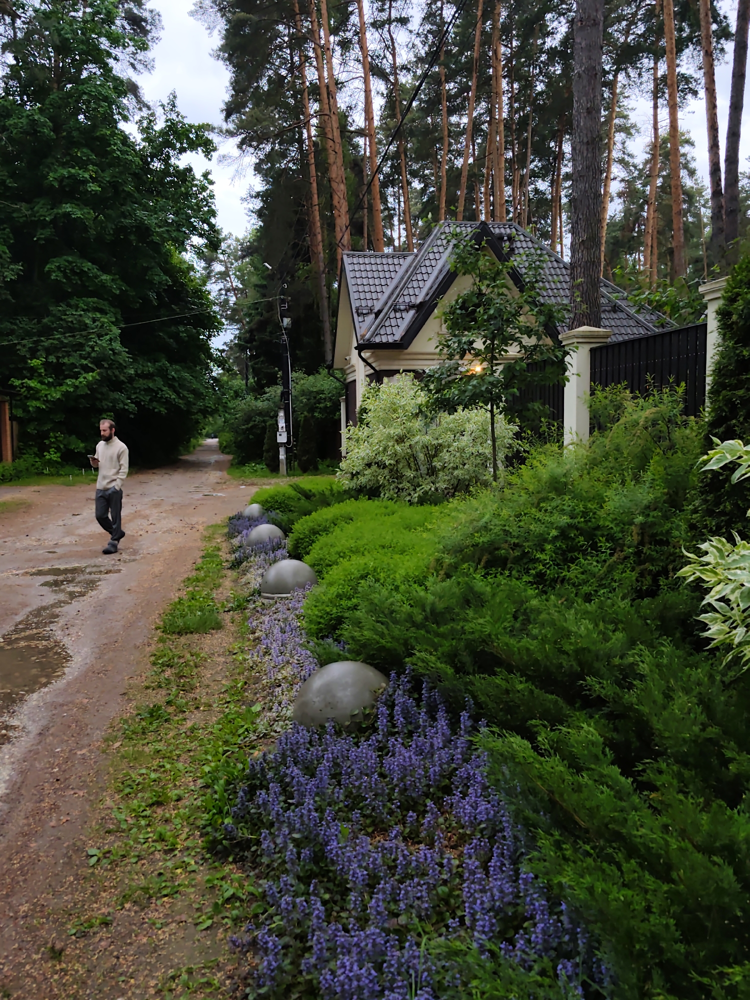 The image shows a man walking on a dirt path in Kratovo, Russia, next to a landscaped garden and a house. The man is wearing a light-colored sweater and dark pants. He is looking at a device he is holding. The garden features purple flowers, green bushes, and large, gray spherical objects. Behind the garden is a house with a dark roof and light-colored walls, partially obscured by trees. Tall pine trees line the background. The path is wet with puddles.