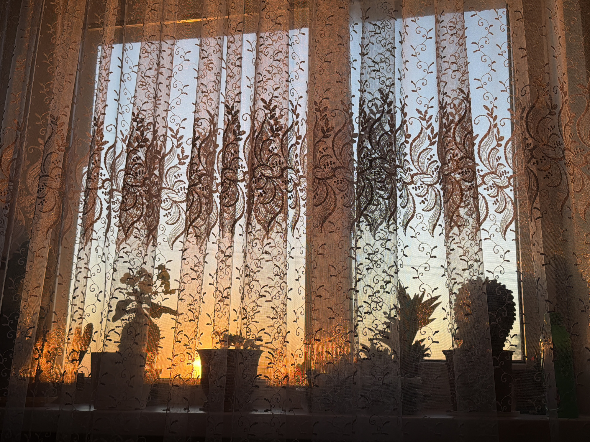 A lace curtain with a floral pattern covers a window where the sun is setting. The light from the setting sun is visible through the translucent fabric, creating a warm, orange glow. Silhouettes of potted plants and other objects are visible on the windowsill. The scene appears to be indoors, looking out at a sunset.