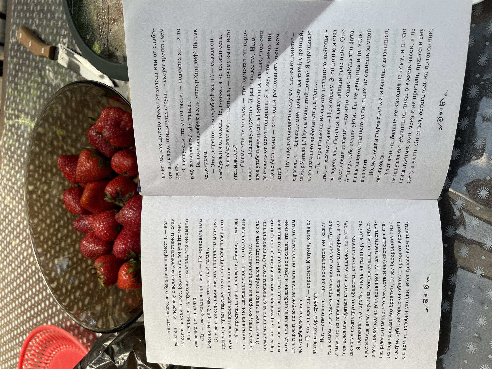 The image shows an open book placed on a patterned tablecloth. A glass bowl filled with strawberries is visible in the background, along with a red plastic basket and part of a black trash bag. A knife with a wooden handle lies next to the bowl. A dark-lidded pan is partially visible. The book pages are filled with Russian text, and there is a decorative border at the bottom of each page with the numbers "402" and "403". The lighting suggests an indoor setting, possibly a domestic environment. No specific city or location is discernible.