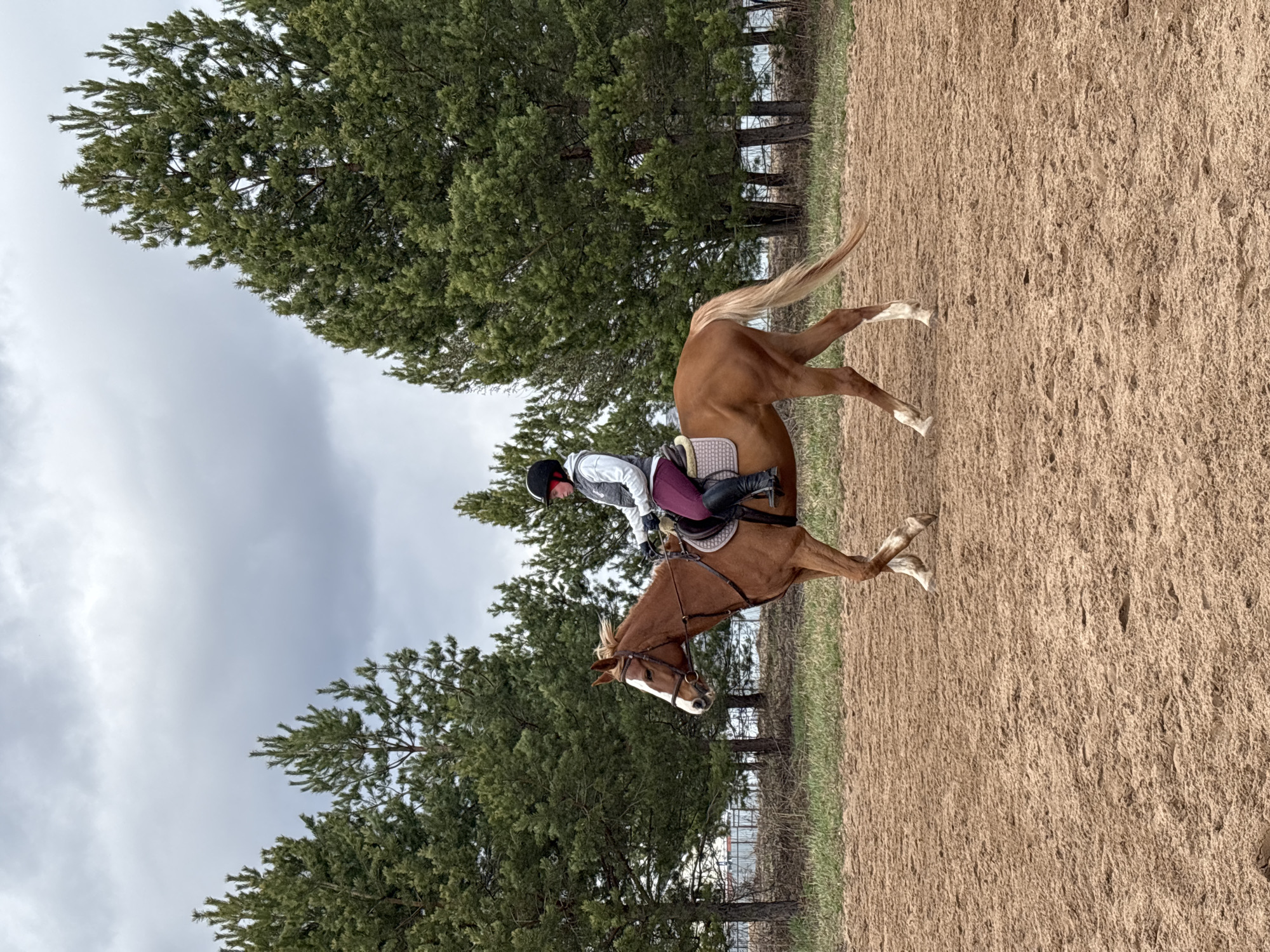 An outdoor scene depicts a rider on a chestnut horse engaged in an equestrian activity, likely training or schooling. The horse, with a brown coat, white blaze on its face, and flaxen mane and tail, appears in motion, with its right front leg lifted and tail raised, suggesting a trot or canter. The rider, wearing a black helmet, light-colored jacket, dark maroon breeches, and black riding boots, is seated in an English saddle with a white saddle pad. The ground is a light brown, sandy or dirt surface, characteristic of a riding arena. A dense line of evergreen trees forms the background, separating the arena from a cloudy, overcast sky. The image captures a daylight scene under gray, diffuse lighting, indicating an overcast day. No discernible text is visible. The location context is Русский Вожой, Russia.
