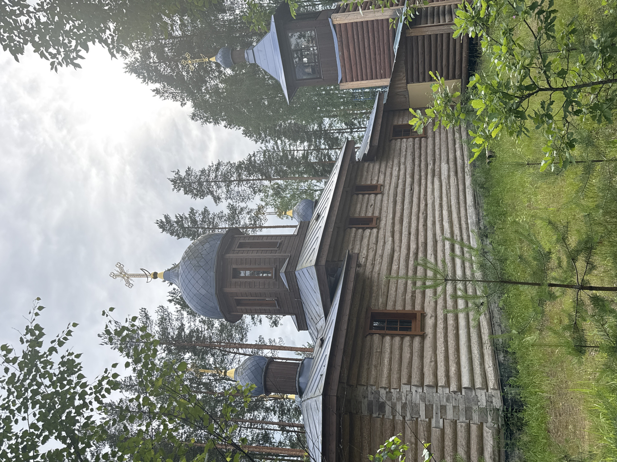 The image shows a wooden Orthodox church with a bell tower situated in a forest environment. The church has multiple domes, the main one being larger and topped with a golden cross, while a smaller dome with a similar cross is visible on a smaller structure. The bell tower is a separate wooden structure with a dark roof and an opening showing a bell inside. The church and tower are constructed from logs, with some stone foundation visible on the main building. The surrounding area is overgrown with grass and young pine trees, with mature pine trees forming a dense backdrop. The sky is overcast, with patches of brighter sky suggesting the sun is diffused. No people are present in the image. The architecture suggests it is likely a rural or remote location, consistent with a forest setting in a place like Nenyamyaki, Russia.