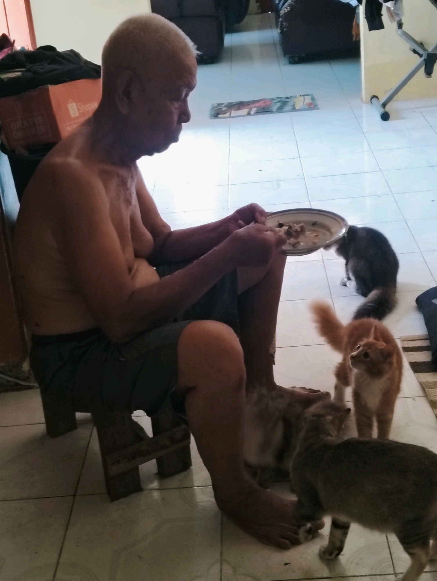 An elderly, bare-chested man sits on a low stool in a room with tiled flooring, holding a plate of food. Several cats are gathered around him, seemingly vying for his attention or food. A black and grey cat is visible in the background, while a ginger cat and a grey tabby cat are closer to the man. The environment appears to be a domestic setting, possibly in a city like Perdamaian, Indonesia, given the context provided. The man is wearing dark shorts. The room contains household items, including a cardboard box with "Shopee" branding and some dark fabric in the background. A metal stand is also present in the room. The lighting suggests it is daytime.