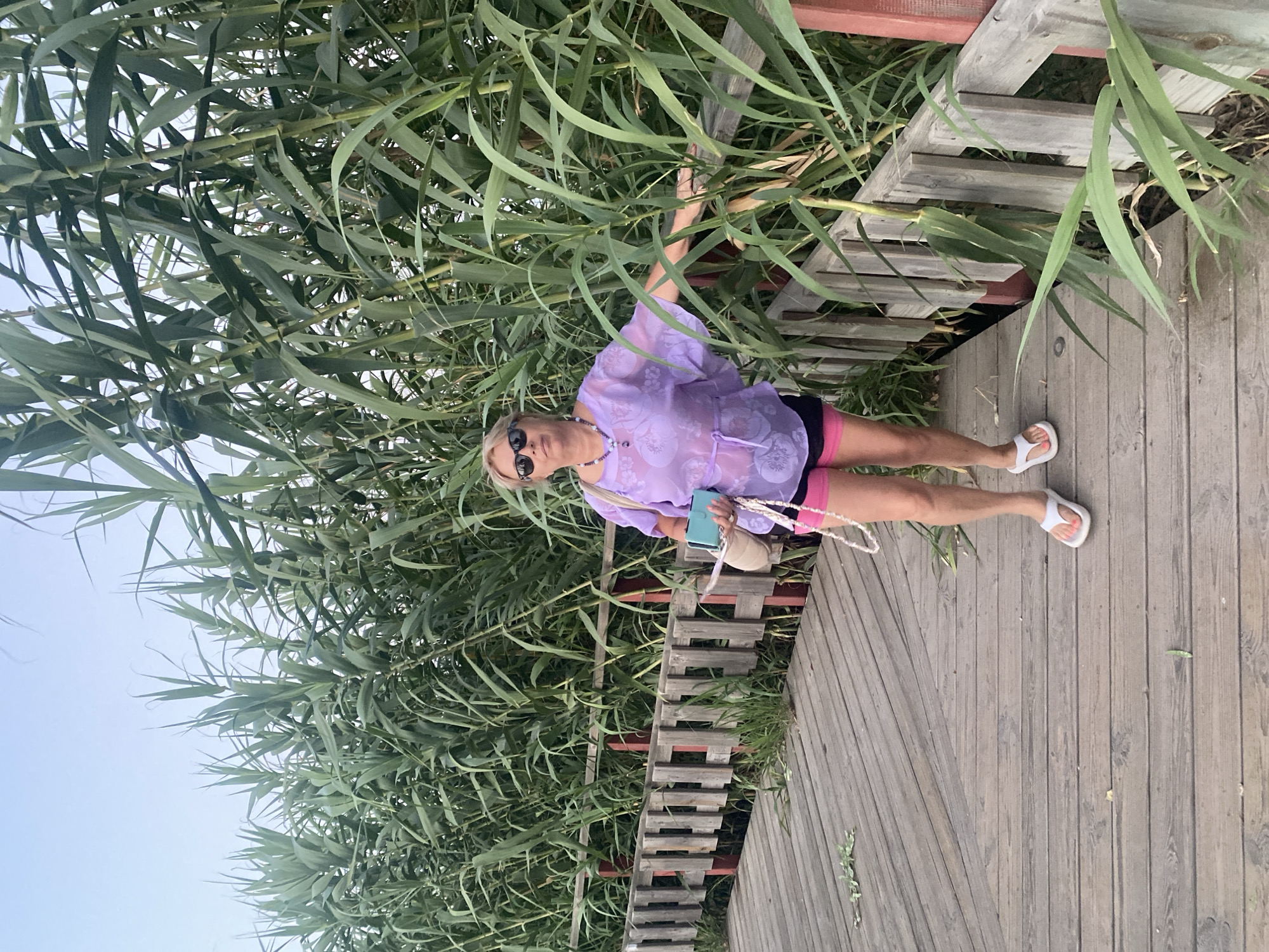 A woman is standing on a wooden boardwalk, which is bordered by a wooden fence and tall reeds. She is wearing a purple sheer top with a floral pattern, pink shorts, white flip-flops, and sunglasses. She is holding a turquoise object and a tan purse. The boardwalk is made of weathered wood planks. The reeds are green and tall, reaching above the woman's head. The sky is visible in the background and appears to be a clear, pale blue. The scene appears to be an outdoor walkway, possibly in a natural or park-like setting. This location is identified as Estepona, Spain.
