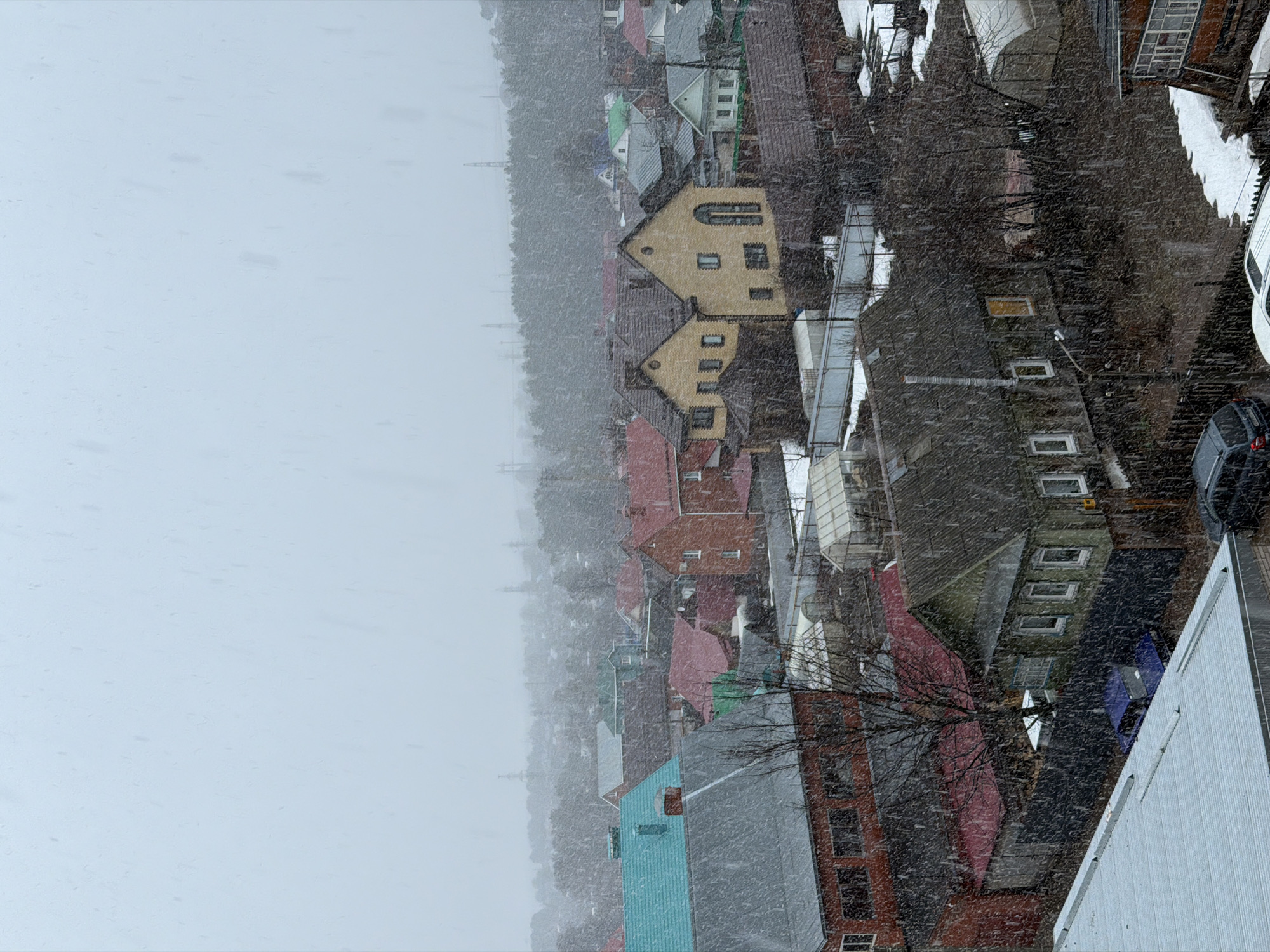 The image depicts a snowy cityscape, possibly Chaikovsky, Russia. The view is elevated, overlooking a neighborhood with a mix of residential buildings. Houses with brightly colored roofs of red, green, and blue are discernible, along with some yellowish-toned structures. In the background, a dense forest is visible, shrouded in snowfall. The snowfall is intense and permeates the foreground. Vehicles, including a dark car, are parked on streets. Some trees are bare of leaves, indicating winter. Metal structures are located on the side. Snow covers the ground and the rooftops.
