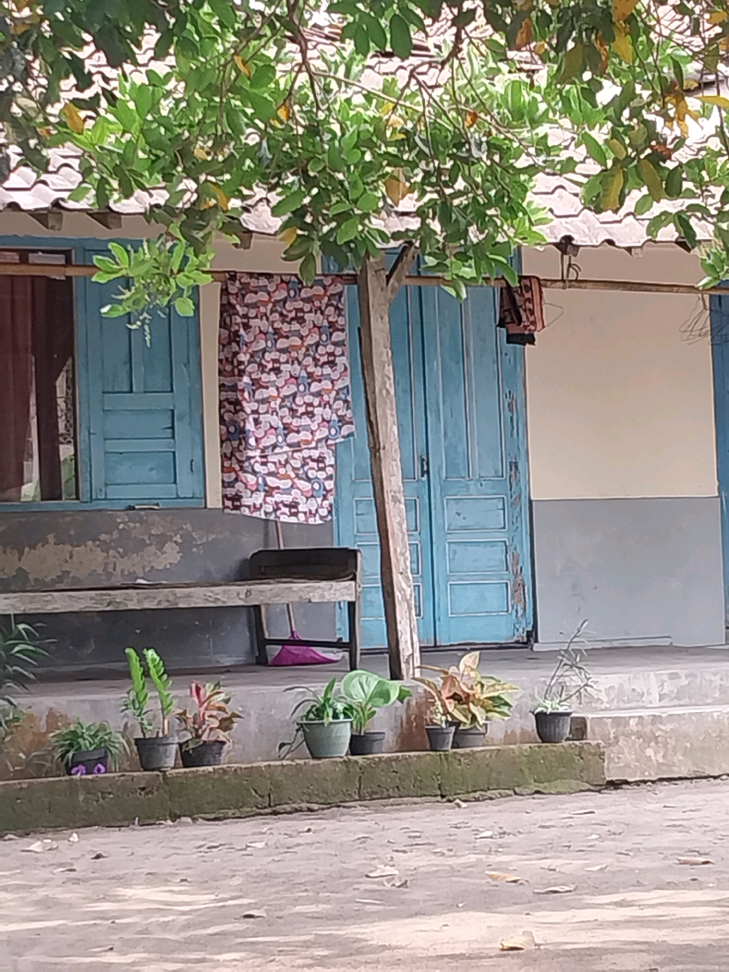 This is a medium shot of a house exterior, likely in Tijayan, Indonesia. The scene is an outdoor view of a section of the house, featuring a covered porch area. Dominating the top half of the image are the green leaves of a tree that casts dappled shade over the scene. Below the tree, a tiled roof of the house is visible.
The house itself has light-colored walls, with a darker gray section near the bottom. There are two large, light blue wooden doors, which appear to be double doors. A patterned curtain, with a white background and colorful circular designs, hangs in front of the left door. To the left of the doors, a wooden bench with a worn, gray surface is situated. A bright pink broom leans against the wall near the right door.
In the foreground, a row of potted plants is arranged on a raised concrete ledge. These plants vary in size and type, including some with lush green leaves and others with reddish-brown foliage. The ground in front of the ledge is a dusty, textured surface, possibly a dirt or gravel path, with scattered dry leaves. The overall impression is a simple, residential outdoor space. There are no people visible in the image.