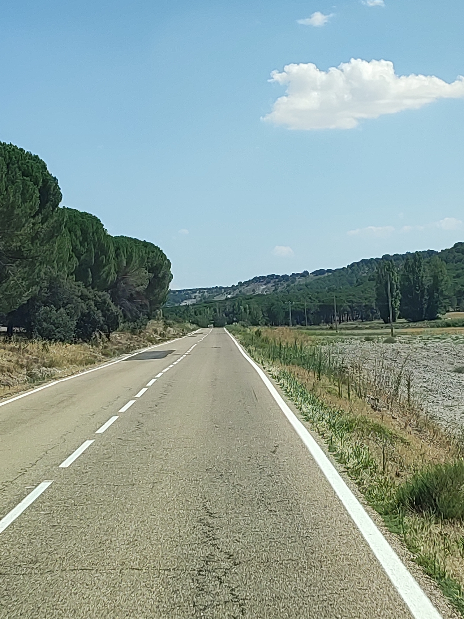 The image depicts an asphalt road leading into the distance, bordered by a white line on the right and dashed white lines on the left. To the left of the road, a dense cluster of tall, green pine trees forms a visual barrier. The right side of the road transitions into a dry, rocky terrain with scattered dry grass and bushes. In the background, a rolling hill covered in a mix of trees and shrubbery stretches across the horizon under a clear blue sky with a single white cloud. There are no people or vehicles visible in the image. The scene appears to be in a rural, undeveloped area, likely outside of a populated center. While specific landmarks within Santibáñez de Valcorba are not identifiable from this image alone, the landscape suggests a setting consistent with the rural environment of a Spanish municipality.