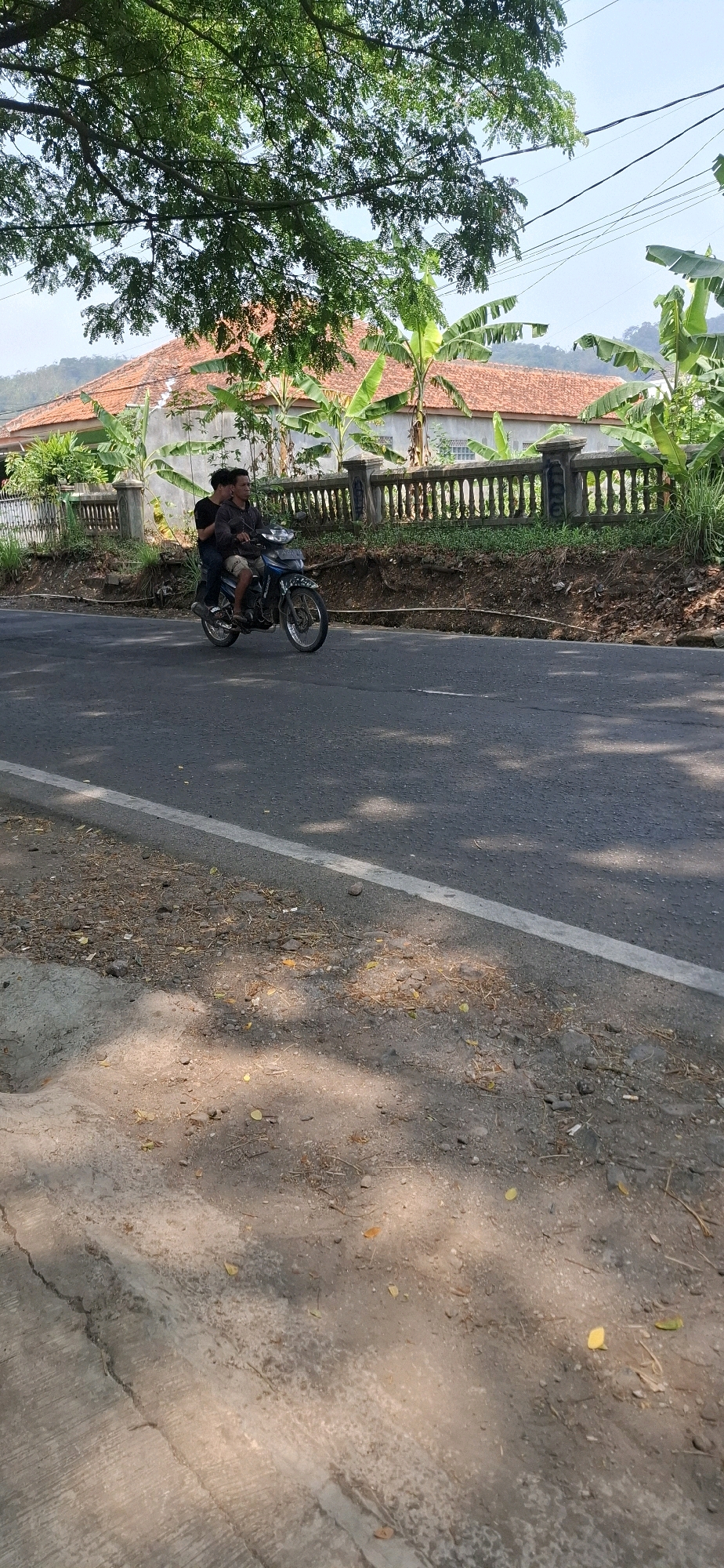 Two young males are riding a blue and white motorcycle on a paved road in Cisalak, Indonesia. The driver is wearing a dark grey long-sleeved shirt and dark shorts, while the passenger in the back is wearing a black t-shirt. The motorcycle has a license plate that is not clearly visible. The road has a white line marking on the right side. The background features a red-tiled roof house with a gray wall and a decorative fence. Banana trees and other green foliage are visible around the house. A large tree with green leaves casts shadows on the road, suggesting it is daytime. The environment appears to be a rural or semi-rural area, with a clear sky and some distant hills.