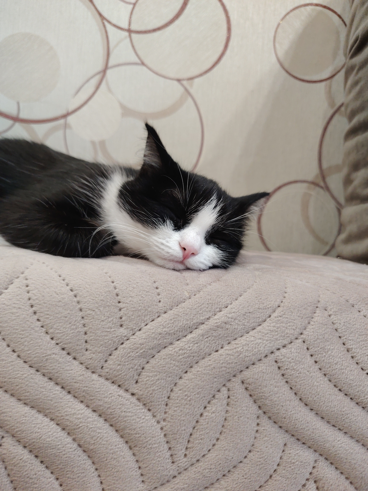 A black and white kitten is sleeping on a textured beige couch. The kitten is lying on its side with its eyes closed and its pink nose visible. Its fur is black with a white chest and muzzle. The couch has a diamond-shaped quilted pattern. In the background, there is a wall with a circular pattern. The lighting is soft and warm.