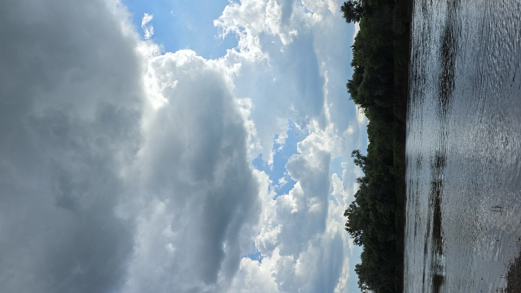 The image shows a wide river flowing through a forested area under a dramatic sky. Dense green trees line the far bank of the river, forming a dark, continuous line. The river's surface is rippled and reflects the sky, creating a shimmering effect. The sky is filled with a mix of large, dark storm clouds and bright white cumulus clouds, with patches of clear blue sky visible. The lighting suggests it could be late afternoon or early evening, with some areas of the sky brightly illuminated while others are shadowed. There are no people or man-made structures visible in the image, giving it a natural and somewhat wild feel. This scene is located in the village of Dar'ino, Russia.