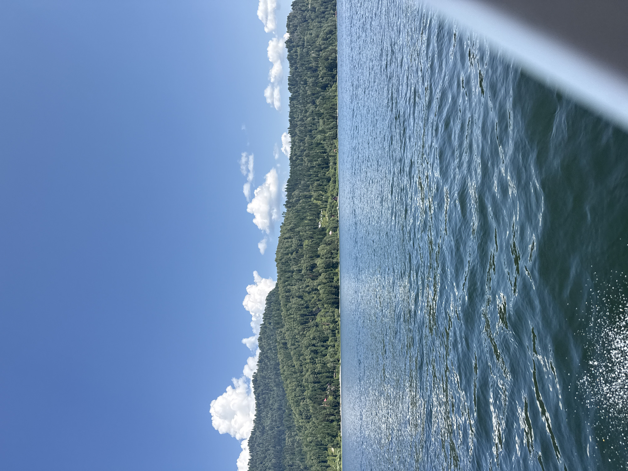 A wide shot captures a serene natural landscape on a sunny day in Artybash, Russia. The foreground is dominated by the rippling surface of a dark blue lake, its waters reflecting the bright sunlight in shimmering patches. On the far side of the lake, a densely forested mountain range rises, its slopes covered in a verdant carpet of green trees. The treeline is varied, with some areas appearing darker green and others lighter, suggesting different tree species or variations in sunlight. A few scattered white clouds drift across a vast, clear blue sky. The shoreline of the lake, nestled at the base of the mountains, features a thin strip of lighter colored land, possibly a beach or cleared area, with some buildings or structures subtly visible amongst the trees. The perspective suggests the photo was taken from a boat or elevated position on the water, with a portion of a light-colored railing or surface visible in the lower right corner of the frame, adding a human element to the otherwise natural scene.