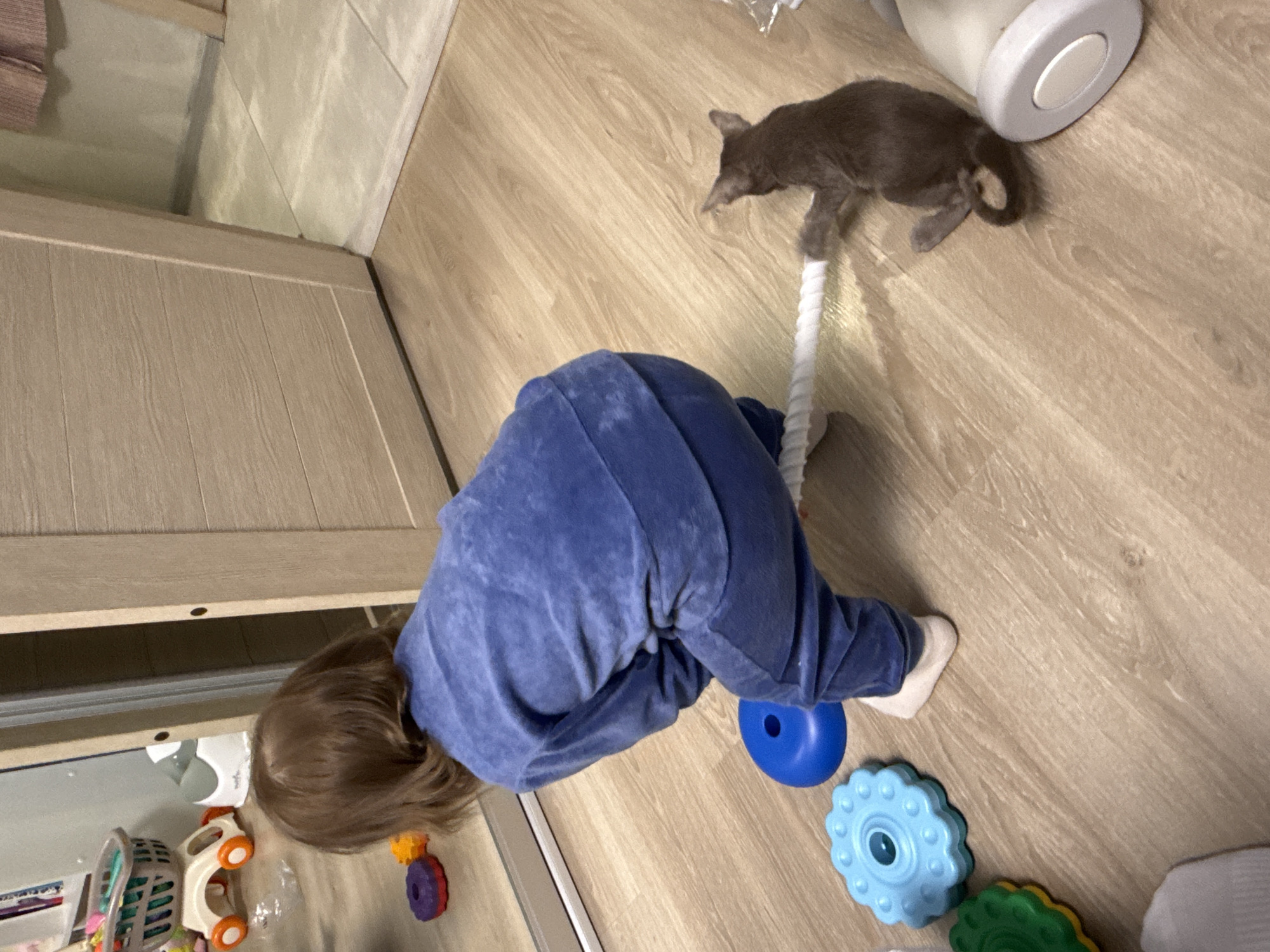 A young child in a blue velour tracksuit kneels on a light-colored wooden floor, facing away from the camera and towards a full-length mirror. The child's hands are occupied with a white, braided rope that extends towards a small, brown cat lying on its side. The cat is actively gripping the rope with its paws. Around the child are several brightly colored stacking toys: a blue ring, a blue gear-shaped toy, and partially visible green and yellow toys. In the reflection of the mirror, other toys are visible, including a small shopping cart with an orange and white base and a grey basket filled with colorful items. To the right of the cat is a large white cylindrical object with a grey, oval button or lid on its side. The environment appears to be an indoor domestic setting, likely a child's play area or bedroom, with a light-colored wooden door visible behind the child and to the right, and a tiled floor in the background. The lighting is neutral, suggesting an indoor environment. The image was captured on November 23, 2022, at 10:27 PM in Moscow, Russia.