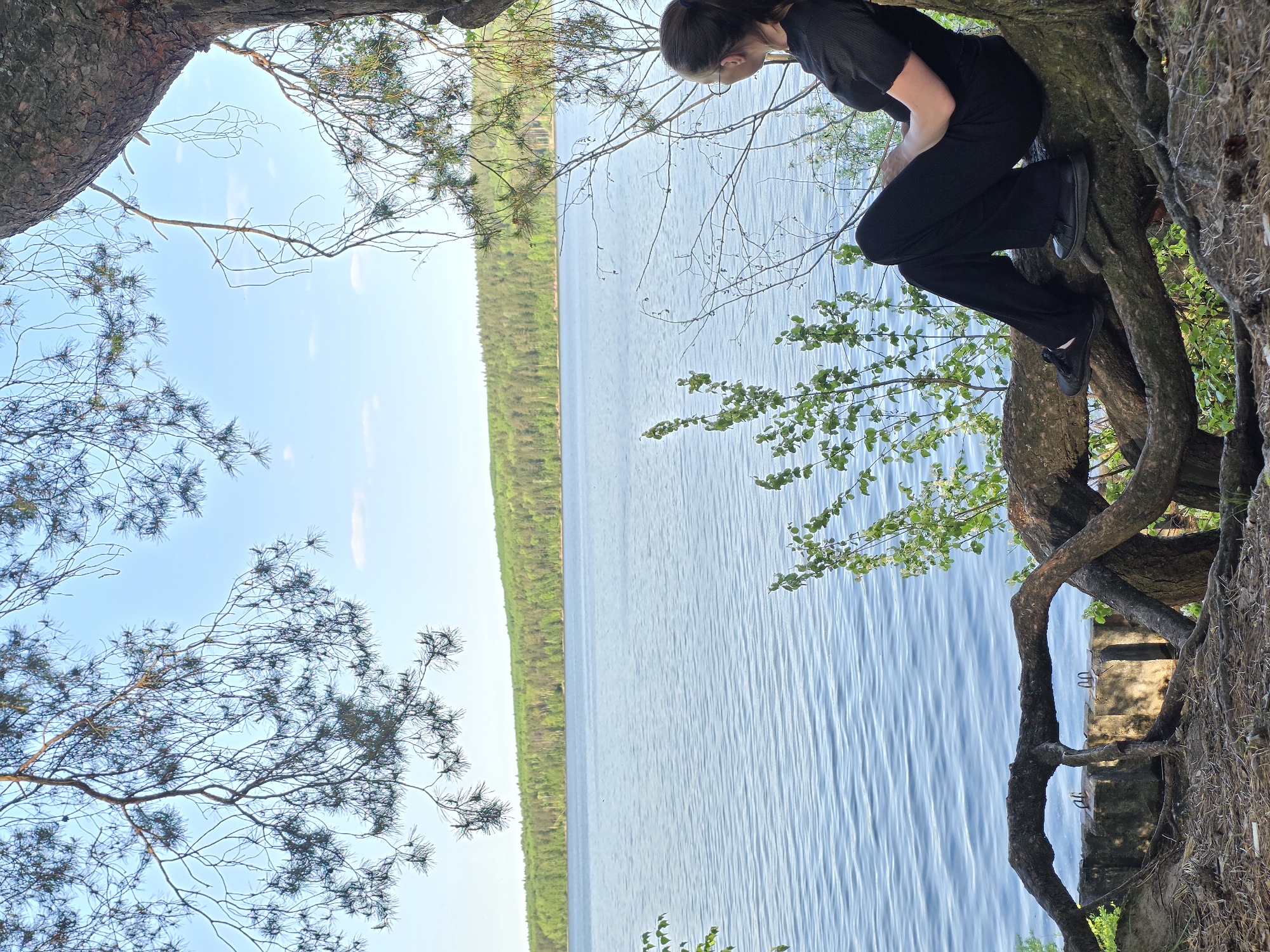 A young woman wearing dark clothing is perched on a tree branch overlooking a body of water. The scene suggests a location near a forest or park, with trees framing a view of the water and distant shoreline. The image could be located in the city of Chaikovsky, Russia. The woman is looking down, possibly at the water. A concrete structure is at the base of the tree.