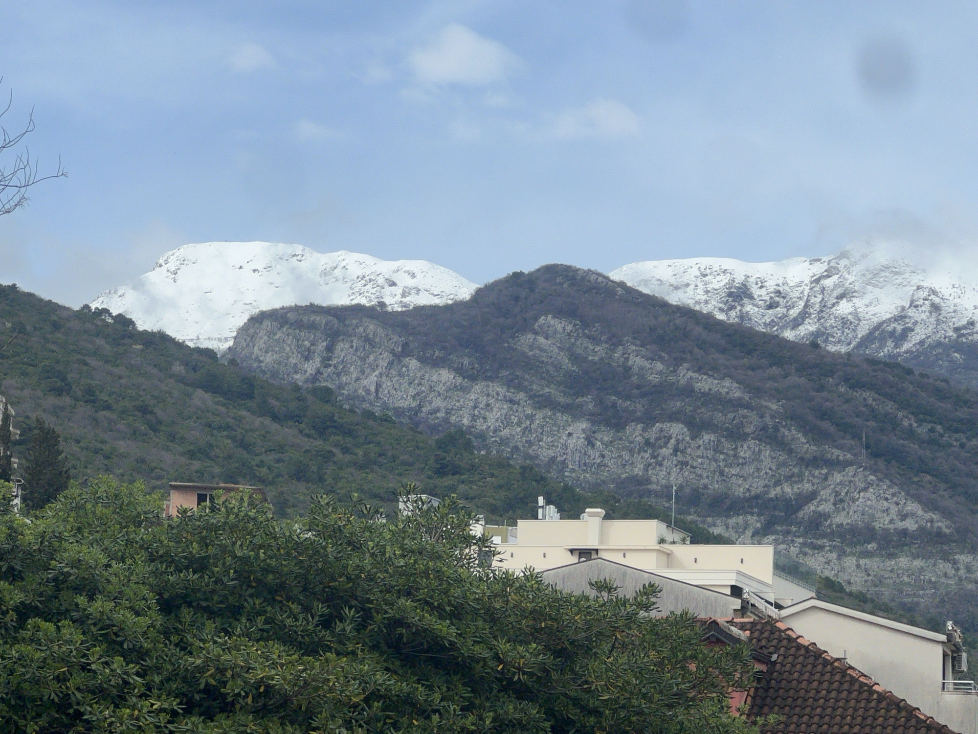 The image presents a panoramic view of Budva, Montenegro, oriented towards a mountainous backdrop. In the immediate foreground, dense evergreen foliage with numerous green leaves occupies the lower portion of the frame. Partially visible through and above this foliage are multiple structures. On the lower right, a weathered terracotta-tiled pitched roof is prominent. Above it, a section of a light-colored building with a flat roof features a white railing and a grey outdoor unit, possibly an air conditioner. To the left of this, further light-colored buildings with flat roofs and various rooftop utility elements are observable. A smaller, darker brown/pinkish building with a flat roof and an exposed rectangular opening is centrally positioned on the left side, largely enveloped by trees. The midground consists of a series of rolling hills and mountains covered in dark green and grey-brown vegetation, indicating dense tree cover and visible rocky outcrops. The background is dominated by rugged snow-capped mountains, displaying stark white snow contrasting with exposed grey rock faces. The sky above is light blue with scattered, thin white clouds. No people or animals are present. The scene indicates a cold weather season.