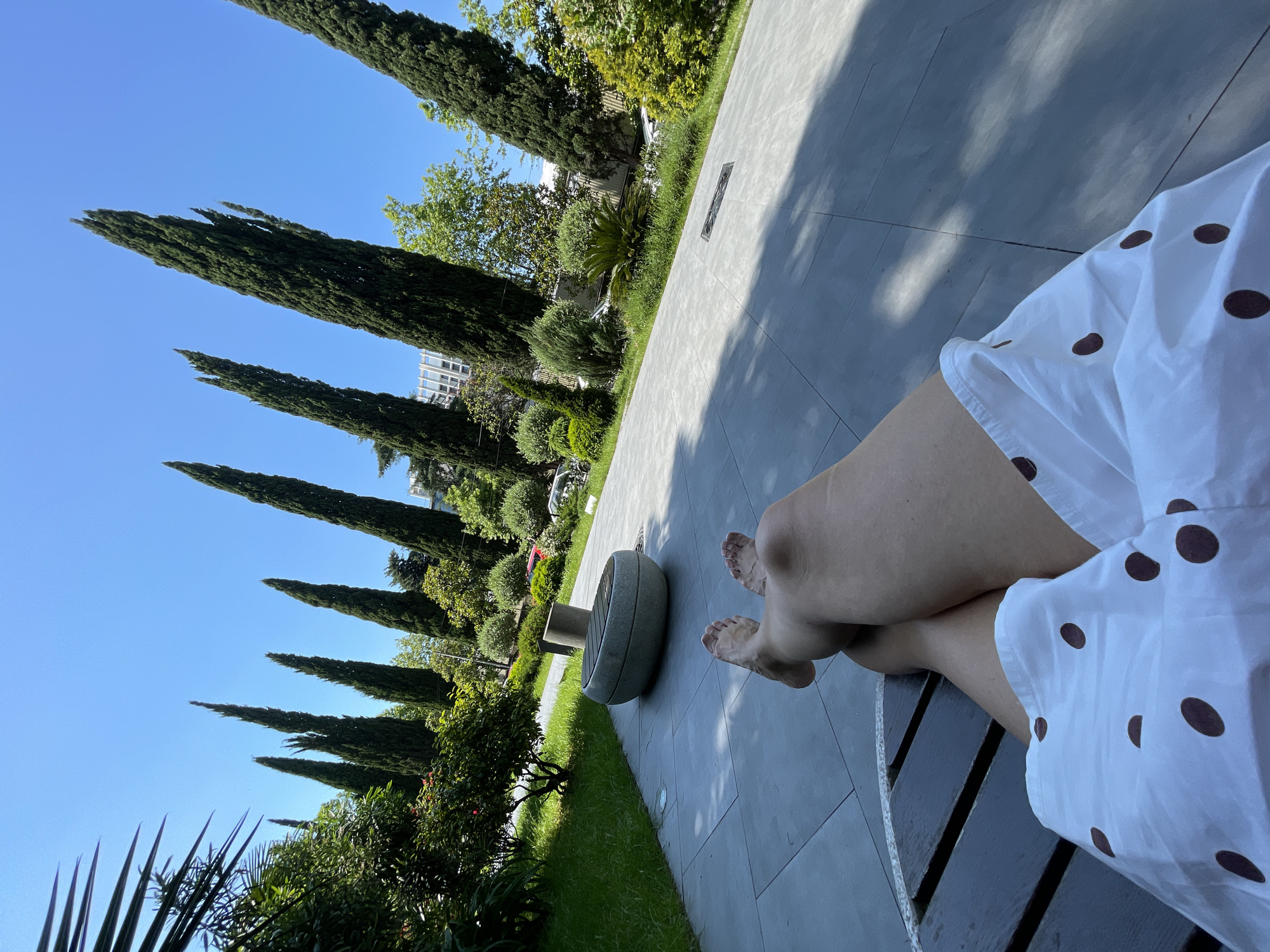 In Sochi, Russia, on a clear, sunny day, a person is seated on a wooden bench in a park. The person's legs are extended, and they are wearing a white dress with brown polka dots. The bench is positioned on a gray, tiled walkway, which is bordered by lush green grass and a variety of trees and shrubs. In the background, tall, slender cypress trees stand in a line against the bright blue sky, with a modern building visible further in the distance. The scene captures a relaxed moment in an outdoor urban environment.