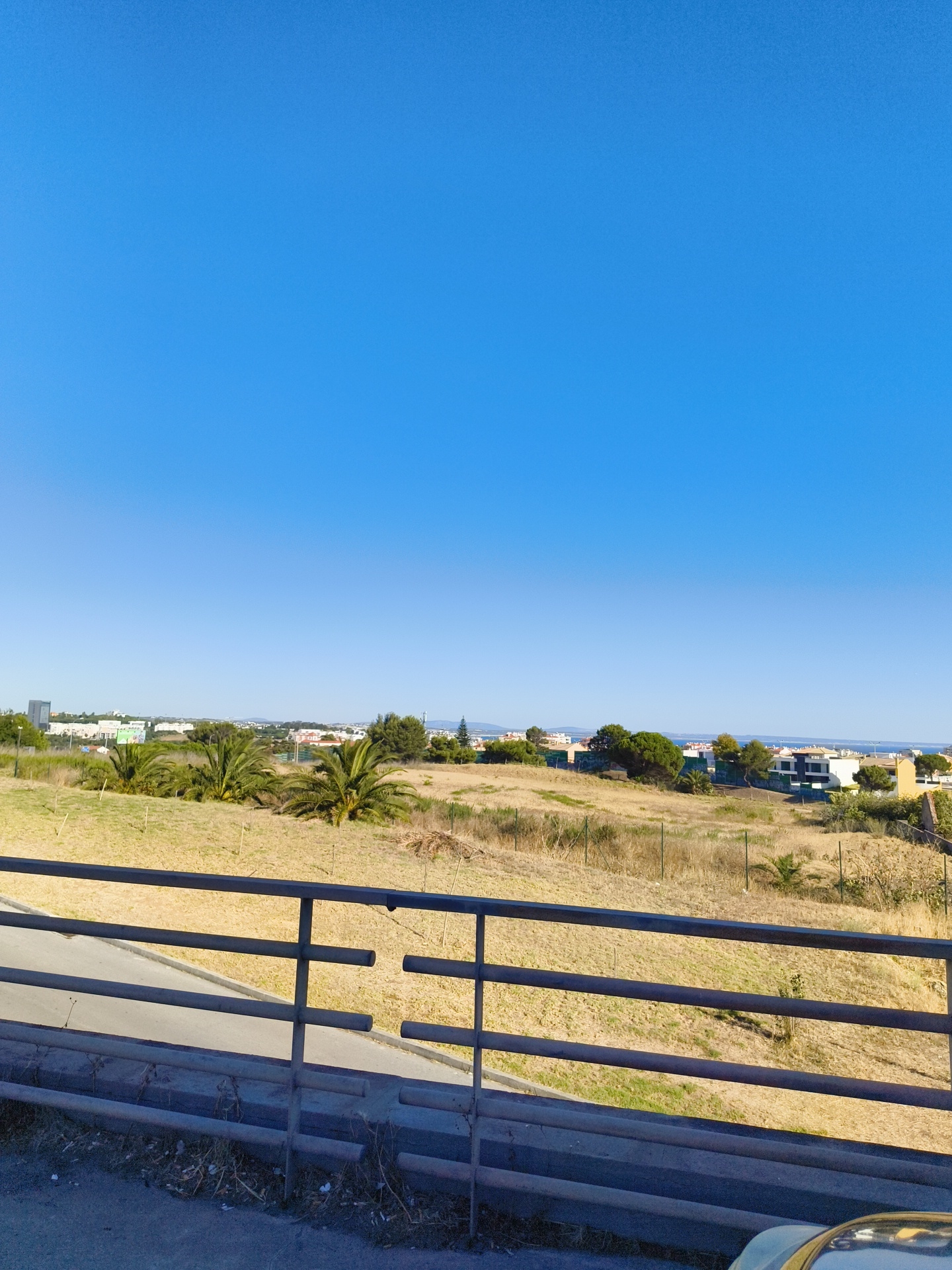 The image depicts a view of the city of Cascais, Portugal, from an elevated position, likely a promenade or a roadside viewpoint. The foreground is dominated by a weathered metal railing, which appears to be part of a barrier or a bridge. Behind the railing, a dry, grassy slope leads down to a road. In the mid-ground, several palm trees stand out against a backdrop of dry vegetation. Beyond the natural landscape, the cityscape of Cascais unfolds, with a mix of residential buildings and some taller structures visible in the distance. The sky is clear and a vibrant blue. The overall impression is one of a sunny day in a coastal urban environment.