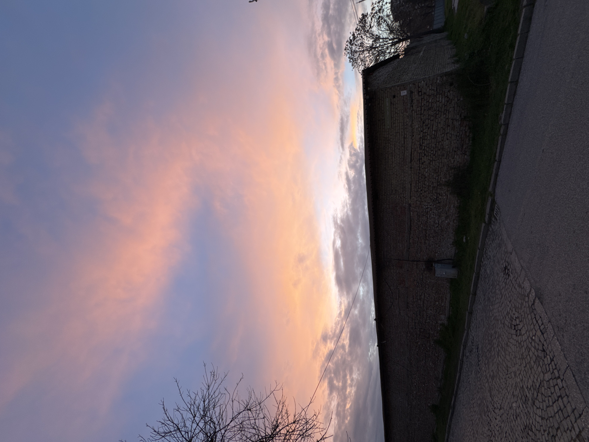 The image depicts a twilight scene in Plovdiv, Bulgaria, showcasing a building and a sky filled with pastel hues. The building, constructed from dark brick, borders a paved surface, likely a street or sidewalk. Sparse vegetation grows along the building's base. The sky transitions from a light pink/peach near the horizon to a dusky blue higher up, featuring clouds with varying textures and light. Bare tree branches are visible in the lower left corner, and other trees in the upper right. A lone bird is visible in the sky. A utility box is mounted on the side of the brick building.